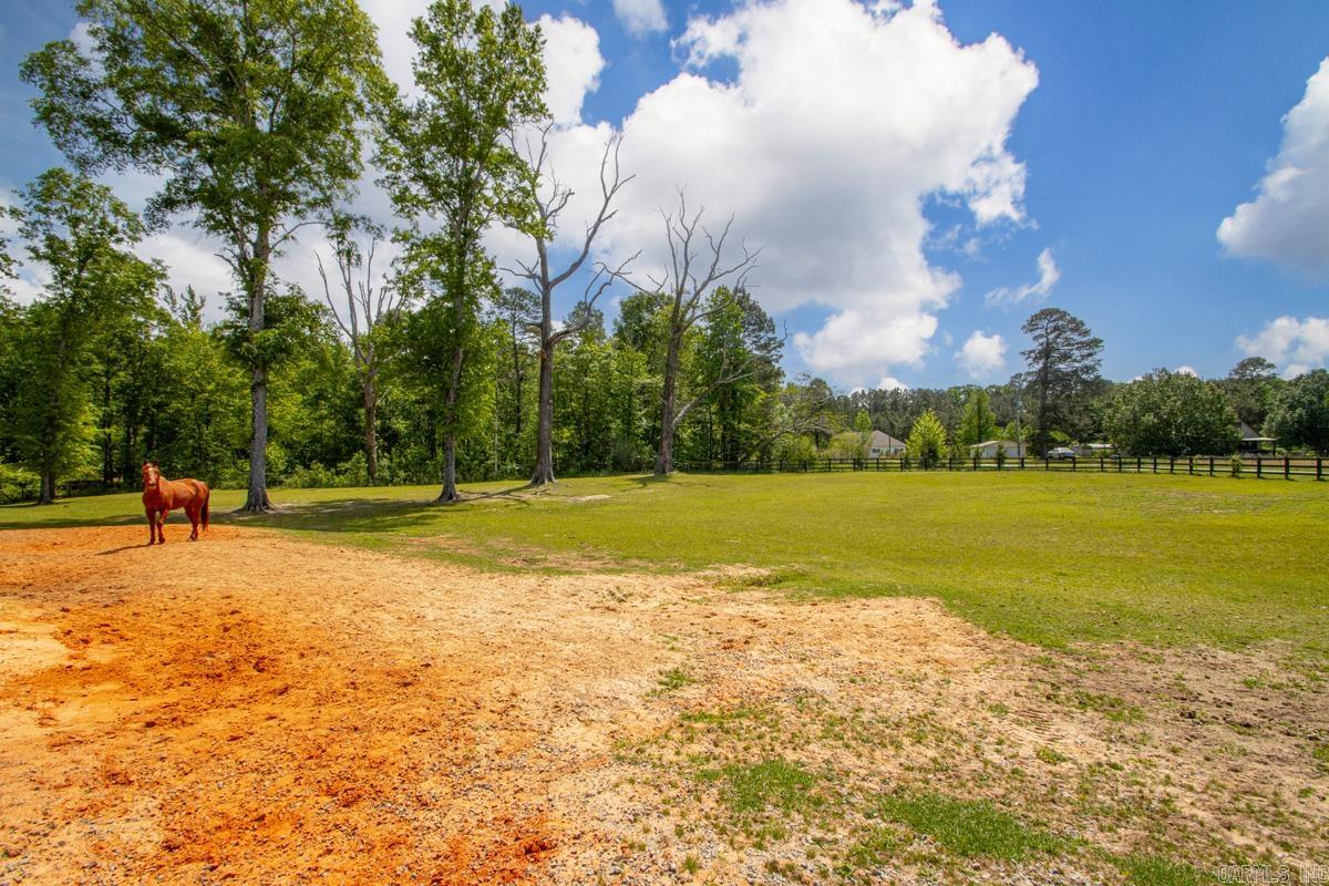 12603 Germania Road Property Photo 38