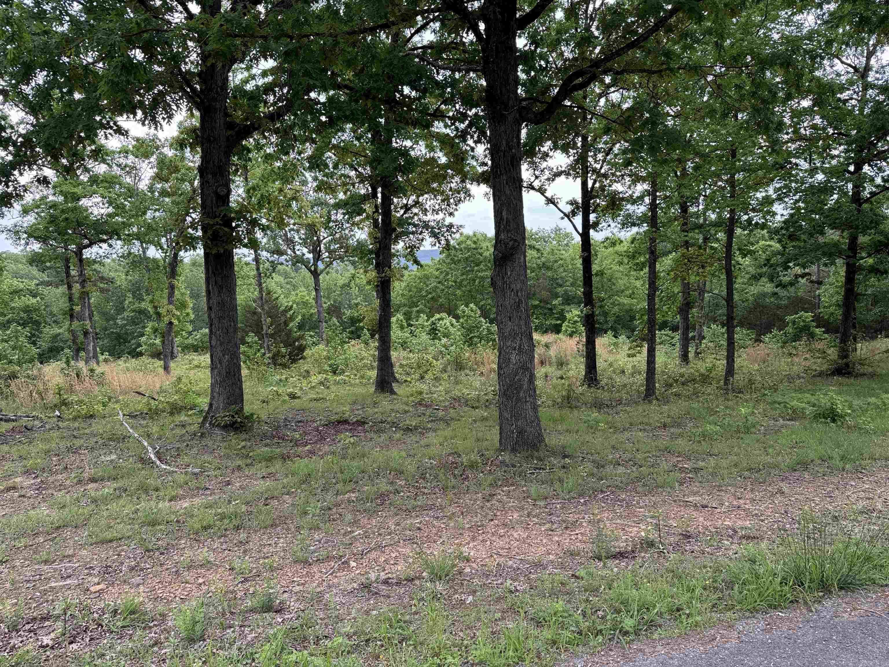 Tract 2 Waters Edge Drive Property Photo 2