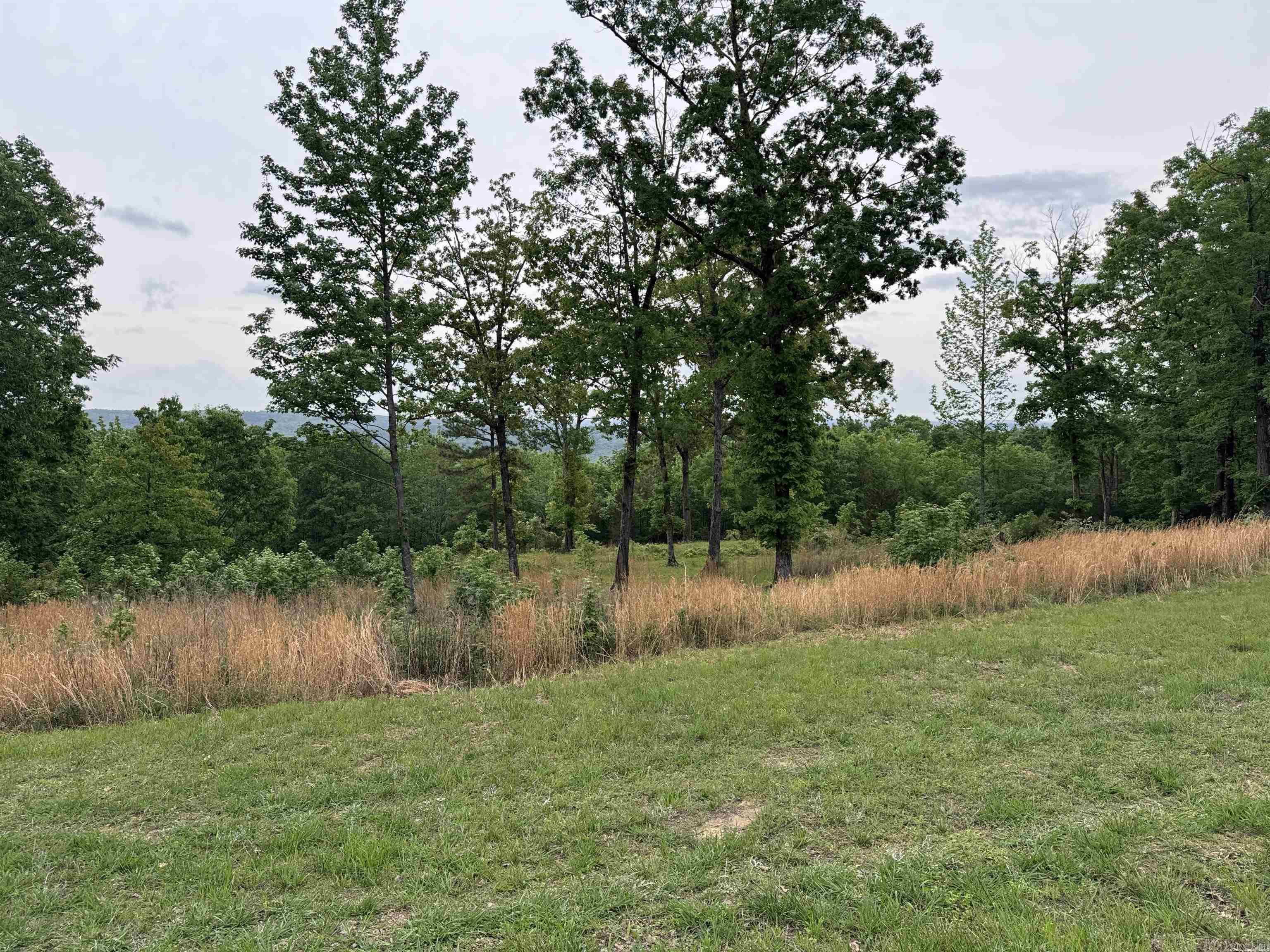 Tract 1 Watersedge Drive Property Photo 3
