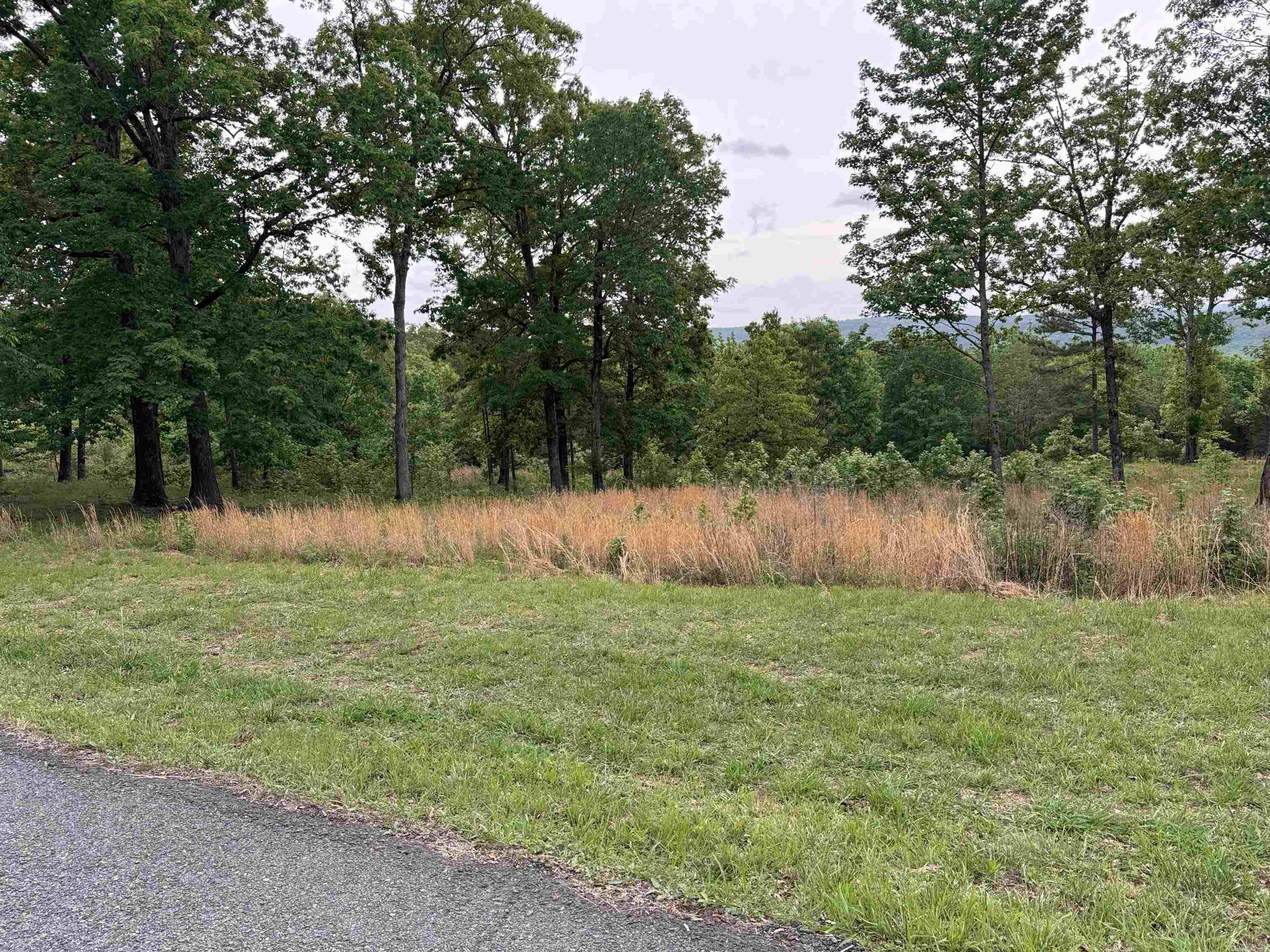 Tract 1 Watersedge Drive Property Photo 4