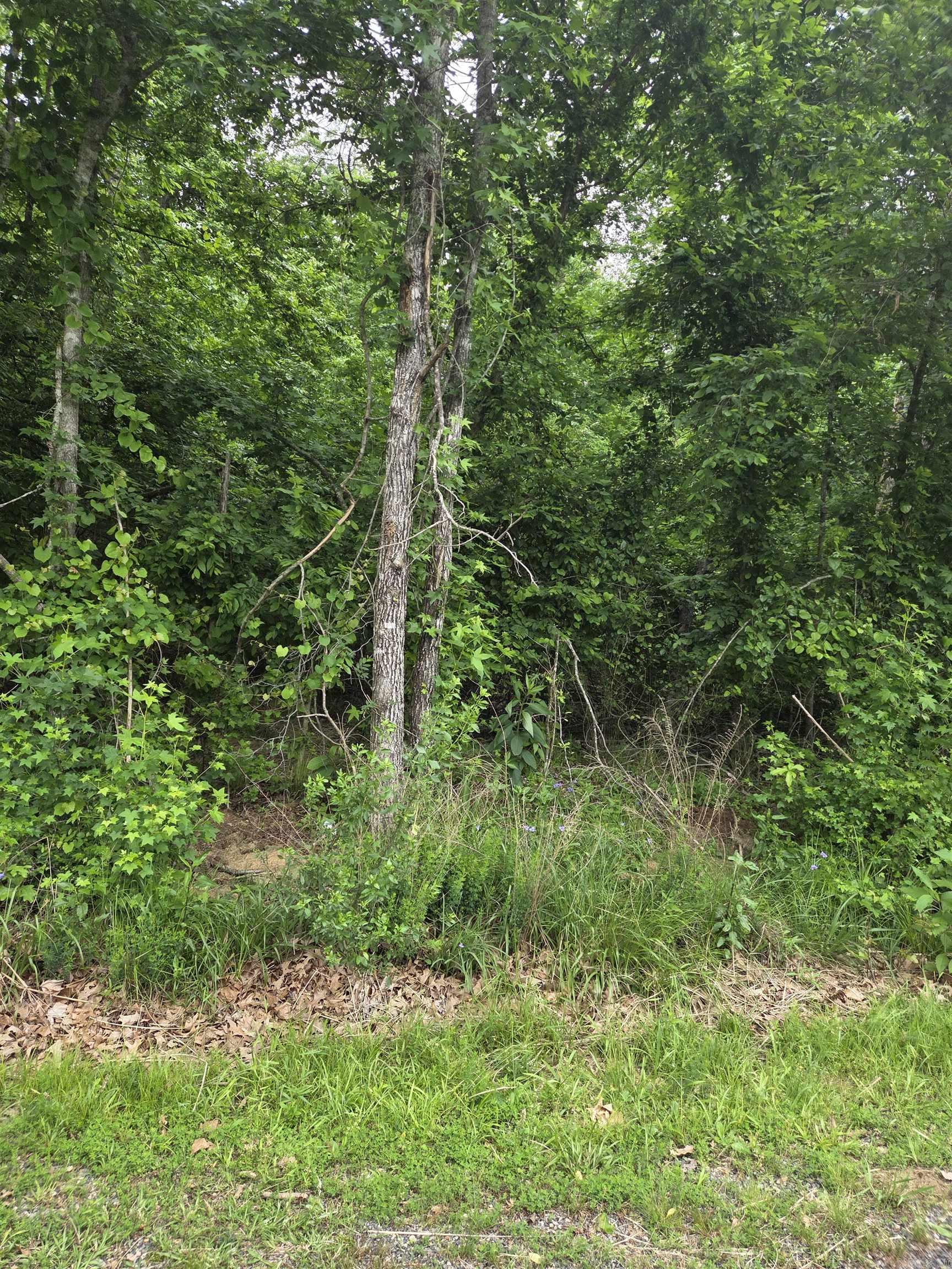 2764 Lost Lake Property Photo 1
