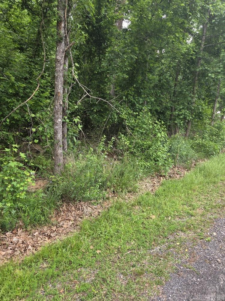 2764 Lost Lake Property Photo 5