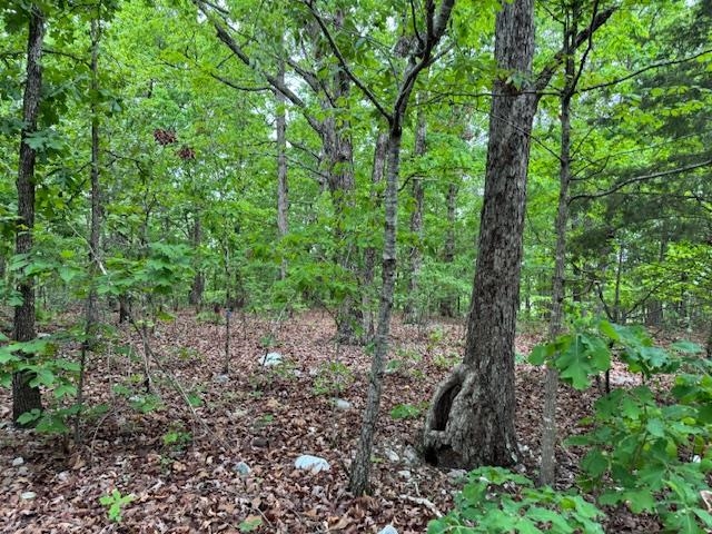 1329 Echowood Cir Property Photo 3