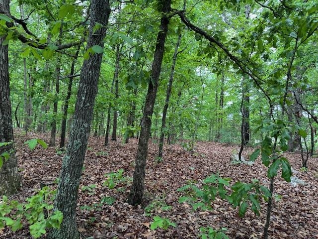 1329 Echowood Cir Property Photo 4