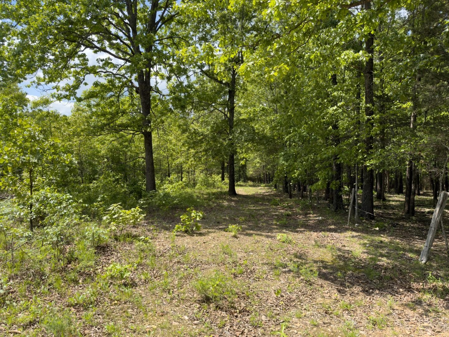 31 Liberty Hill Circle Property Photo 9