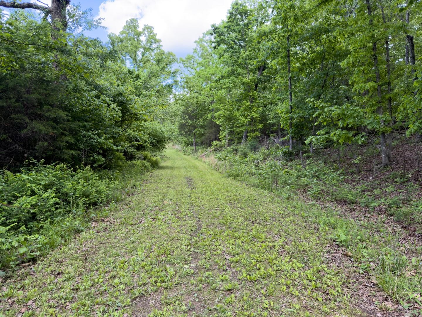 31 Liberty Hill Circle Property Photo 11