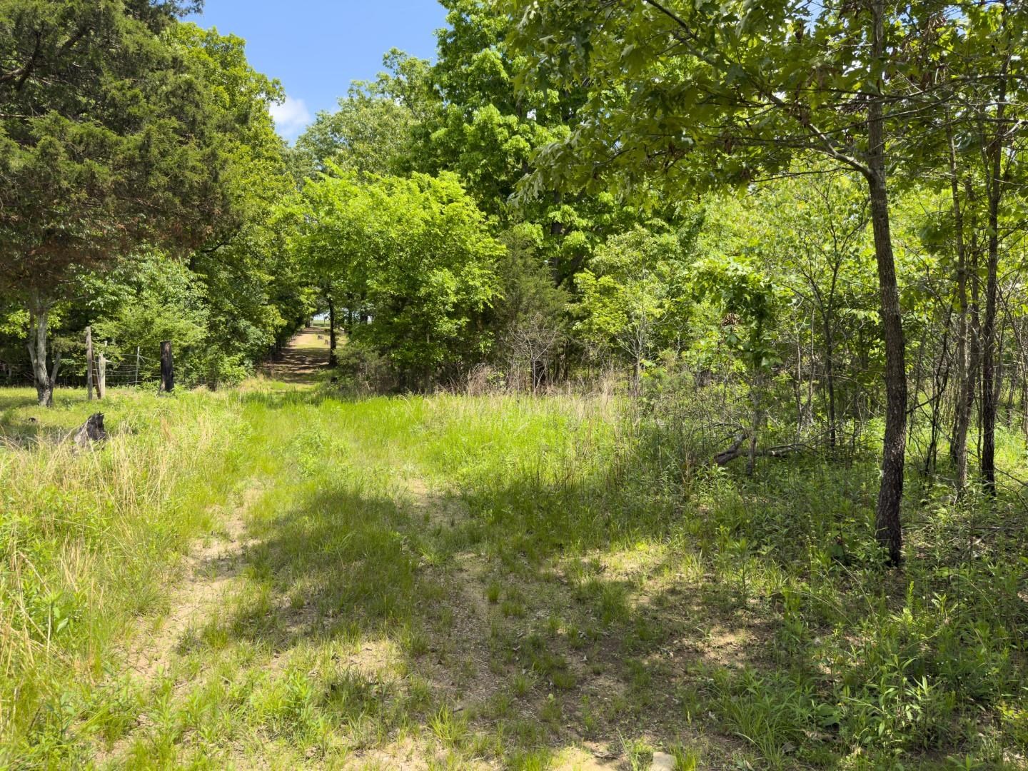 31 Liberty Hill Circle Property Photo 12