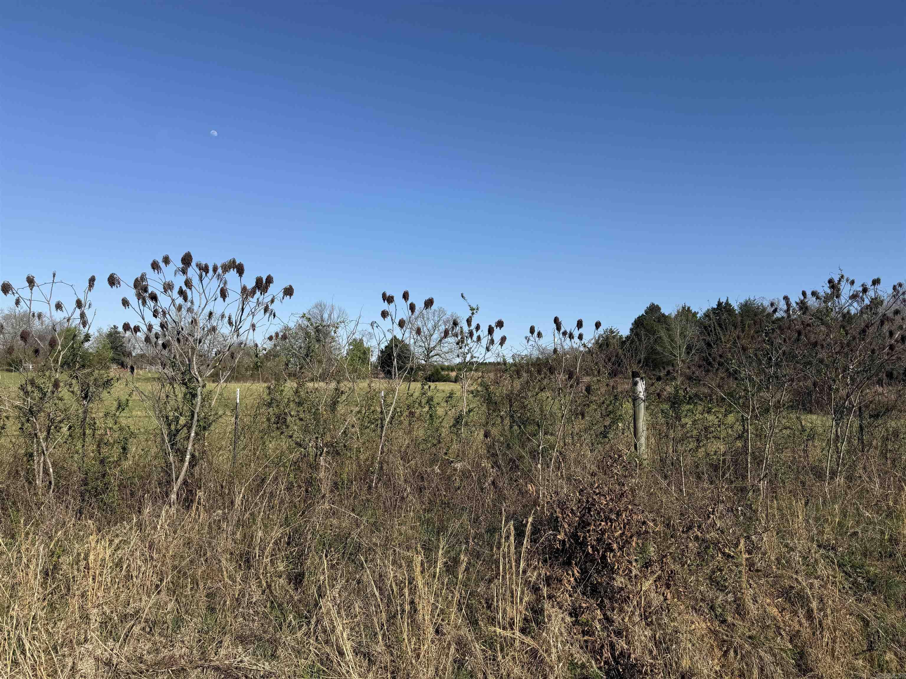 1400 Goff Road Property Photo 2