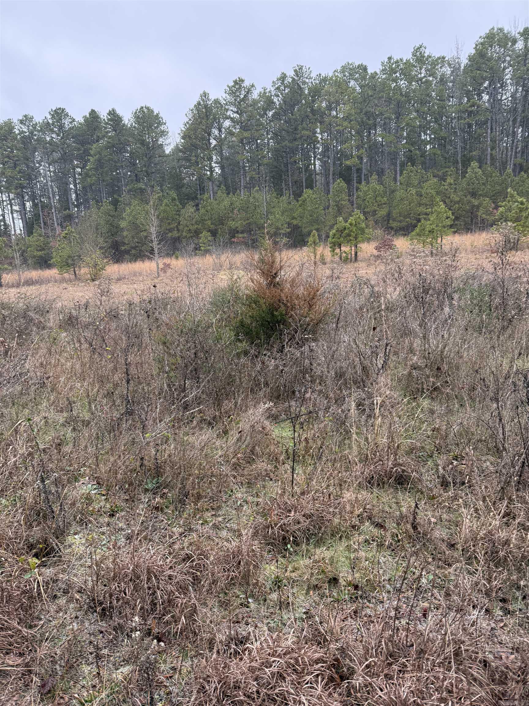 1400 Goff Road Property Photo 3