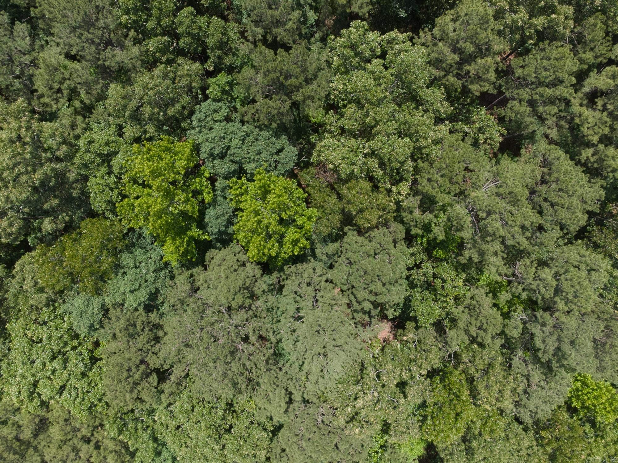 Lot 70 Lake Drive Property Photo 5