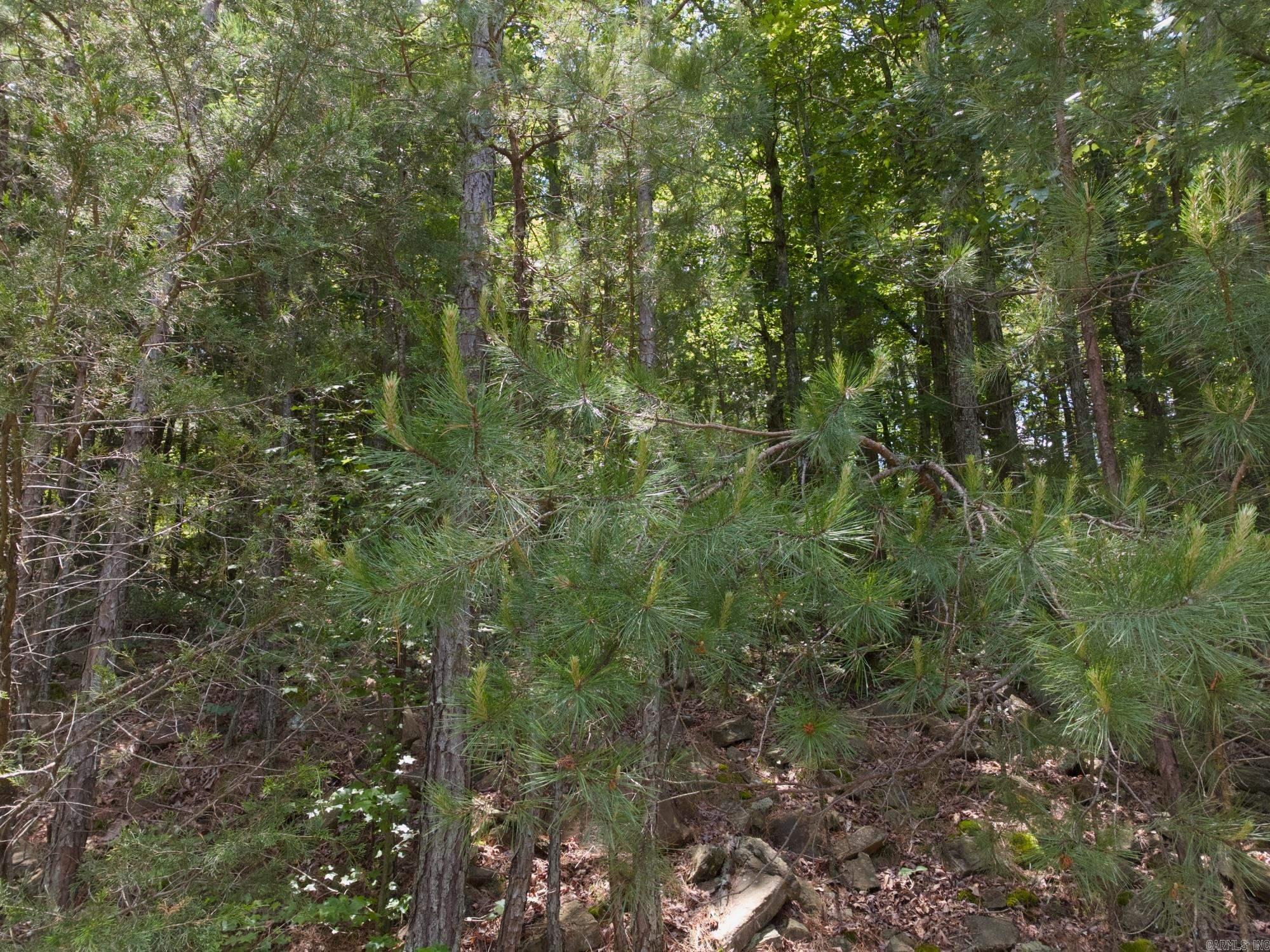 Lot 70 Lake Drive Property Photo 7