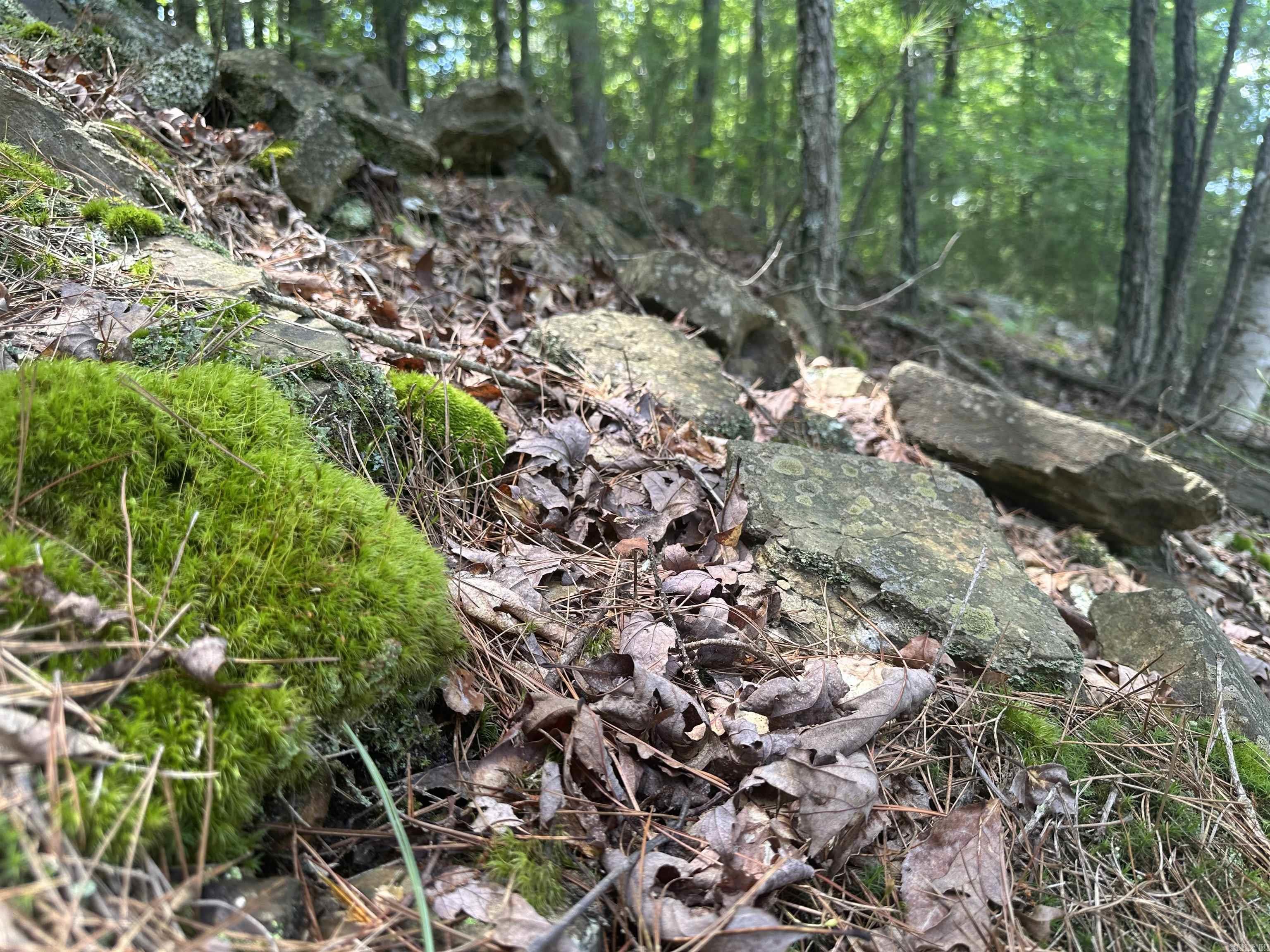 Lot 70 Lake Drive Property Photo 11