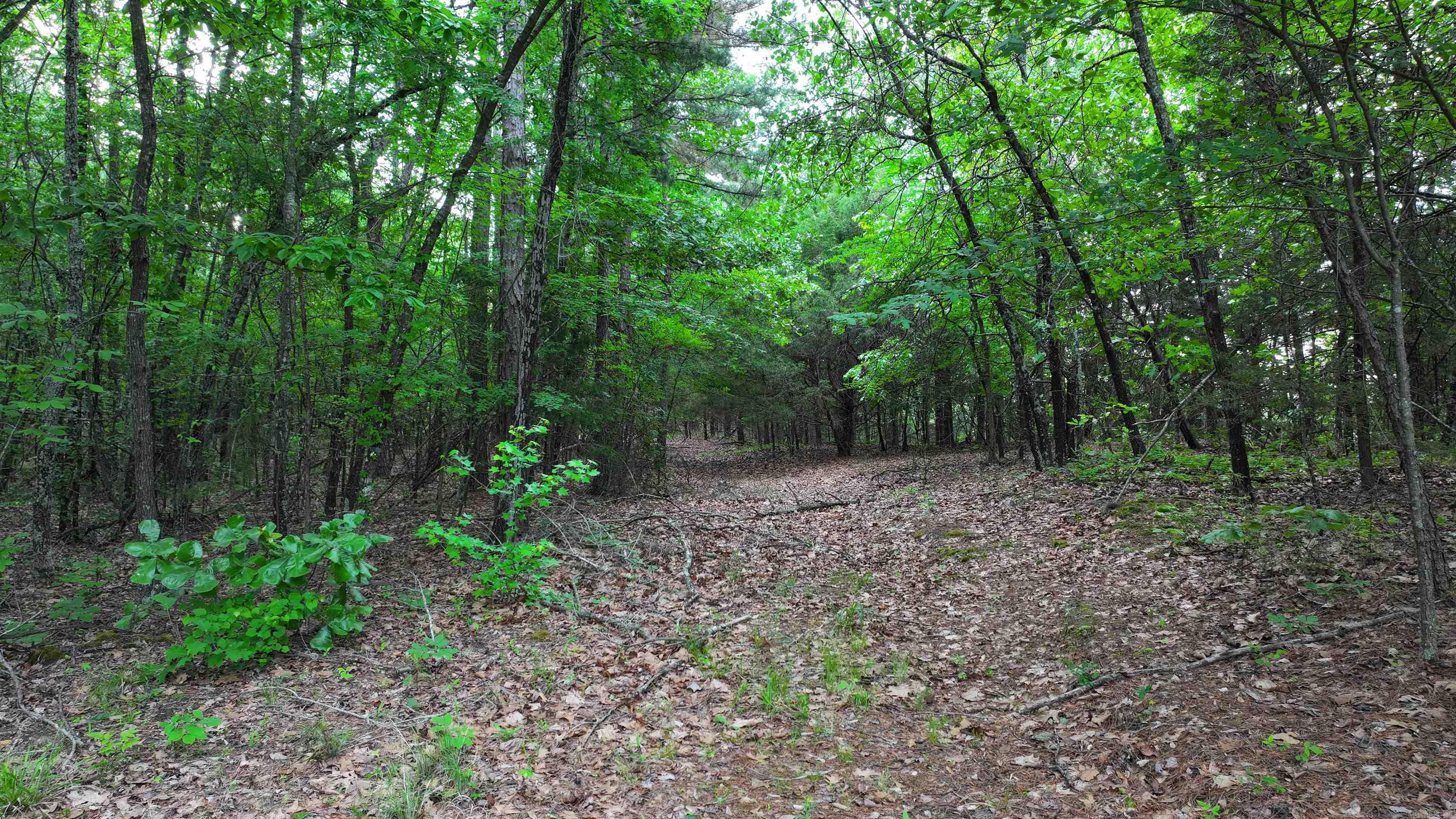 00 Jason Lane Property Photo 9
