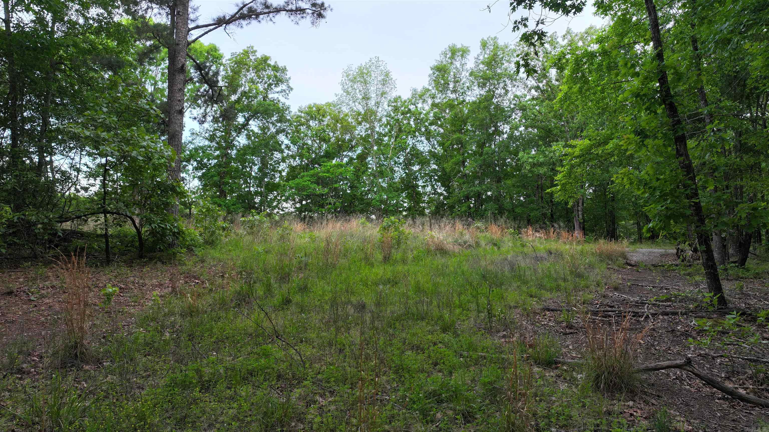 00 Jason Lane Property Photo 10