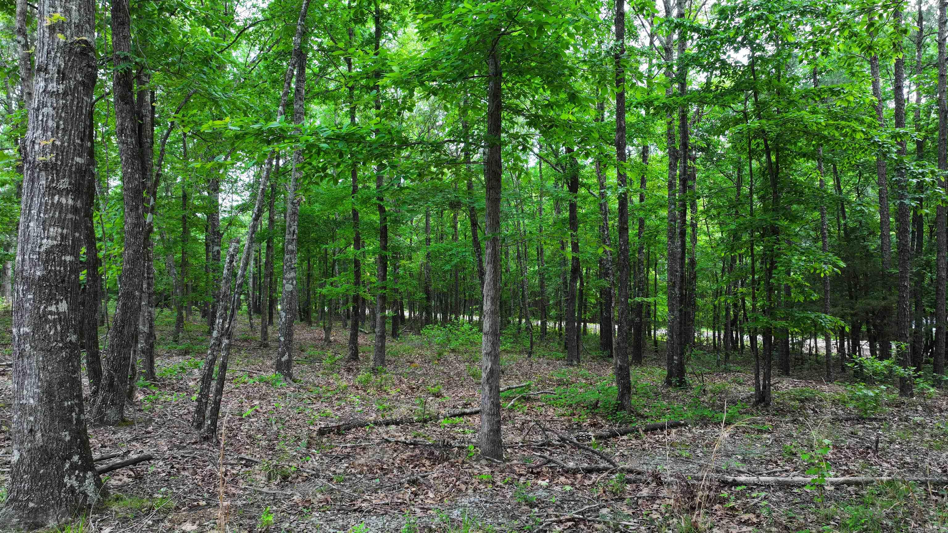 00 Jason Lane Property Photo 11