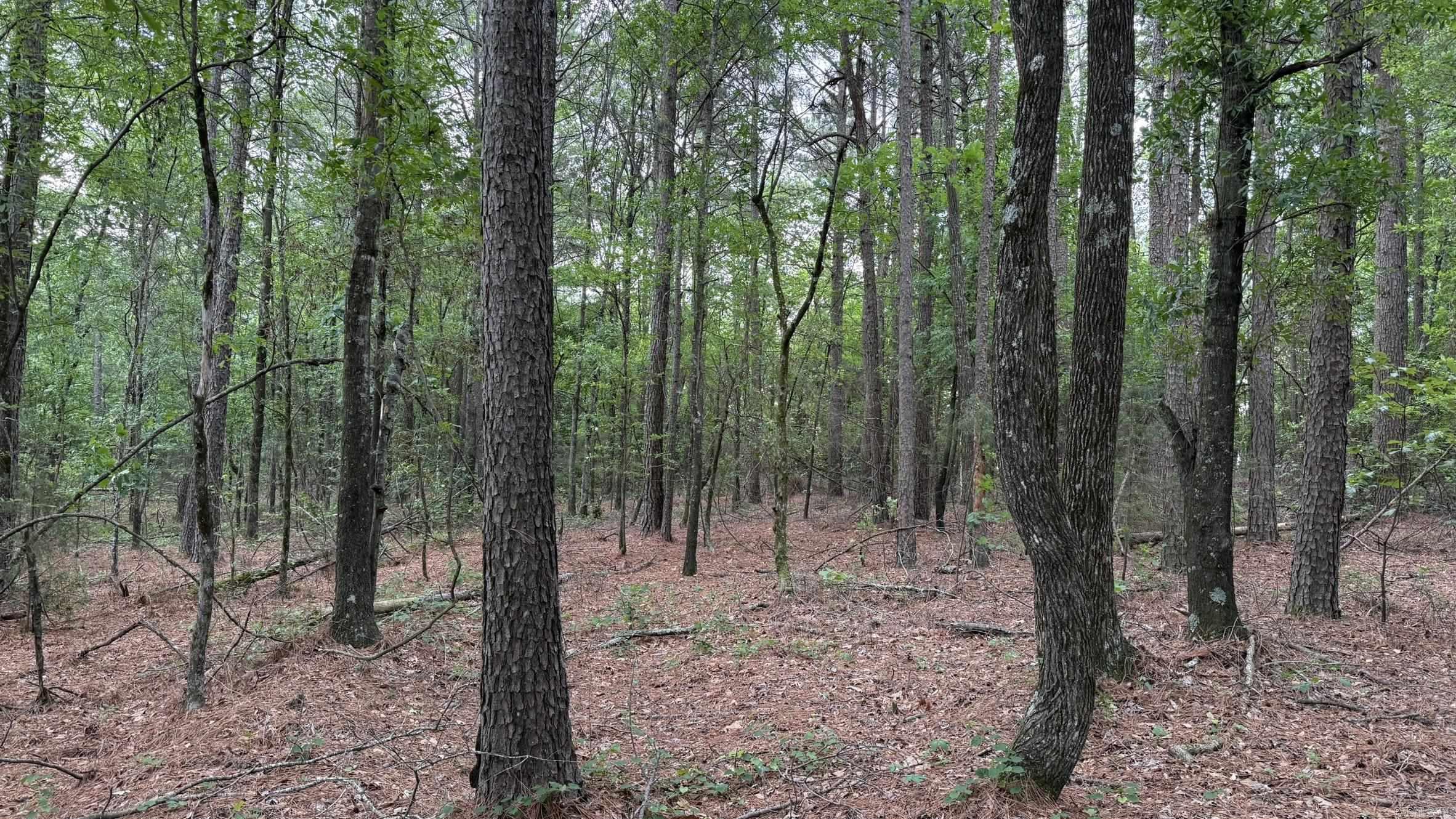 00 Jason Lane Property Photo 28