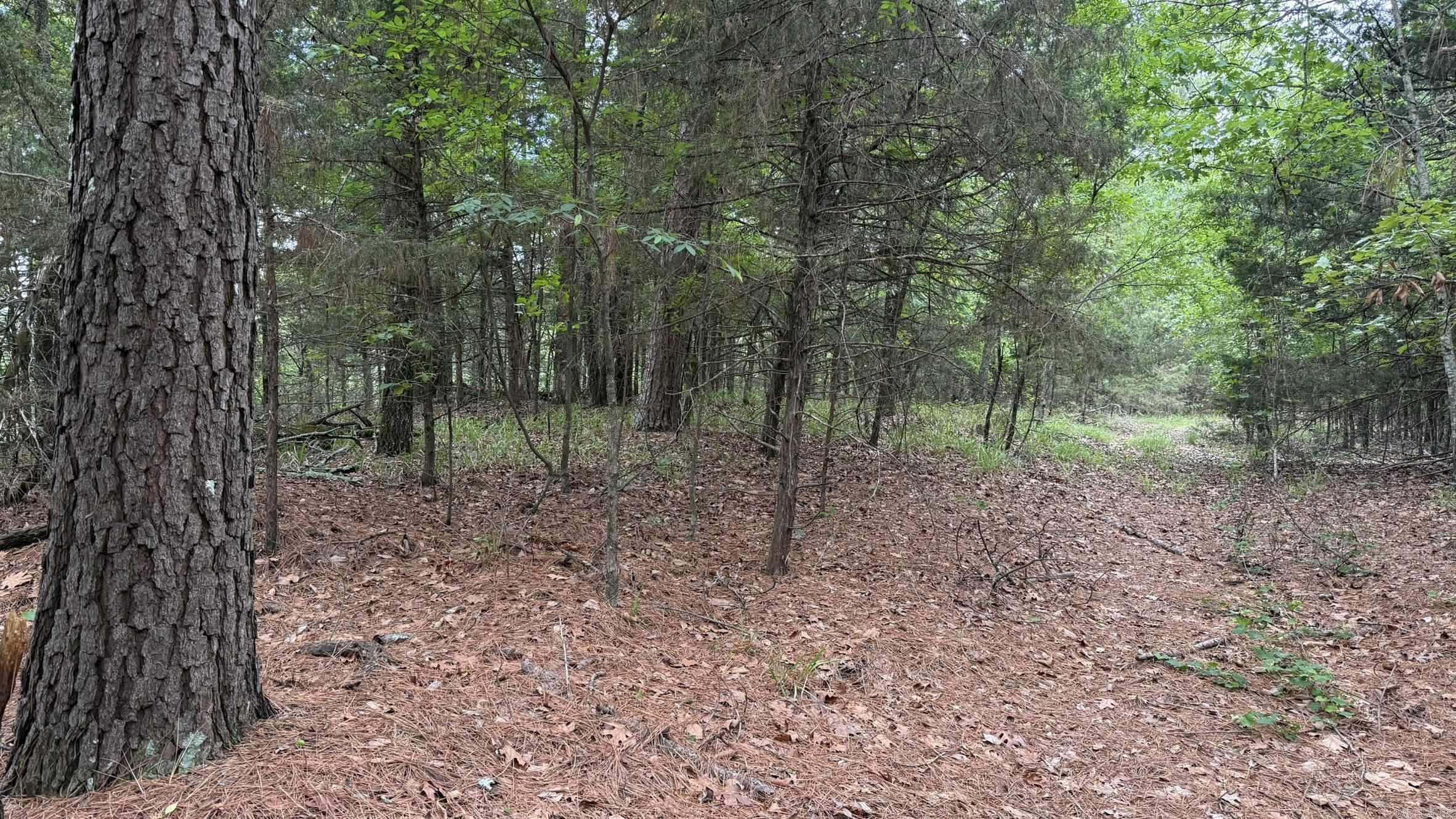 00 Jason Lane Property Photo 29