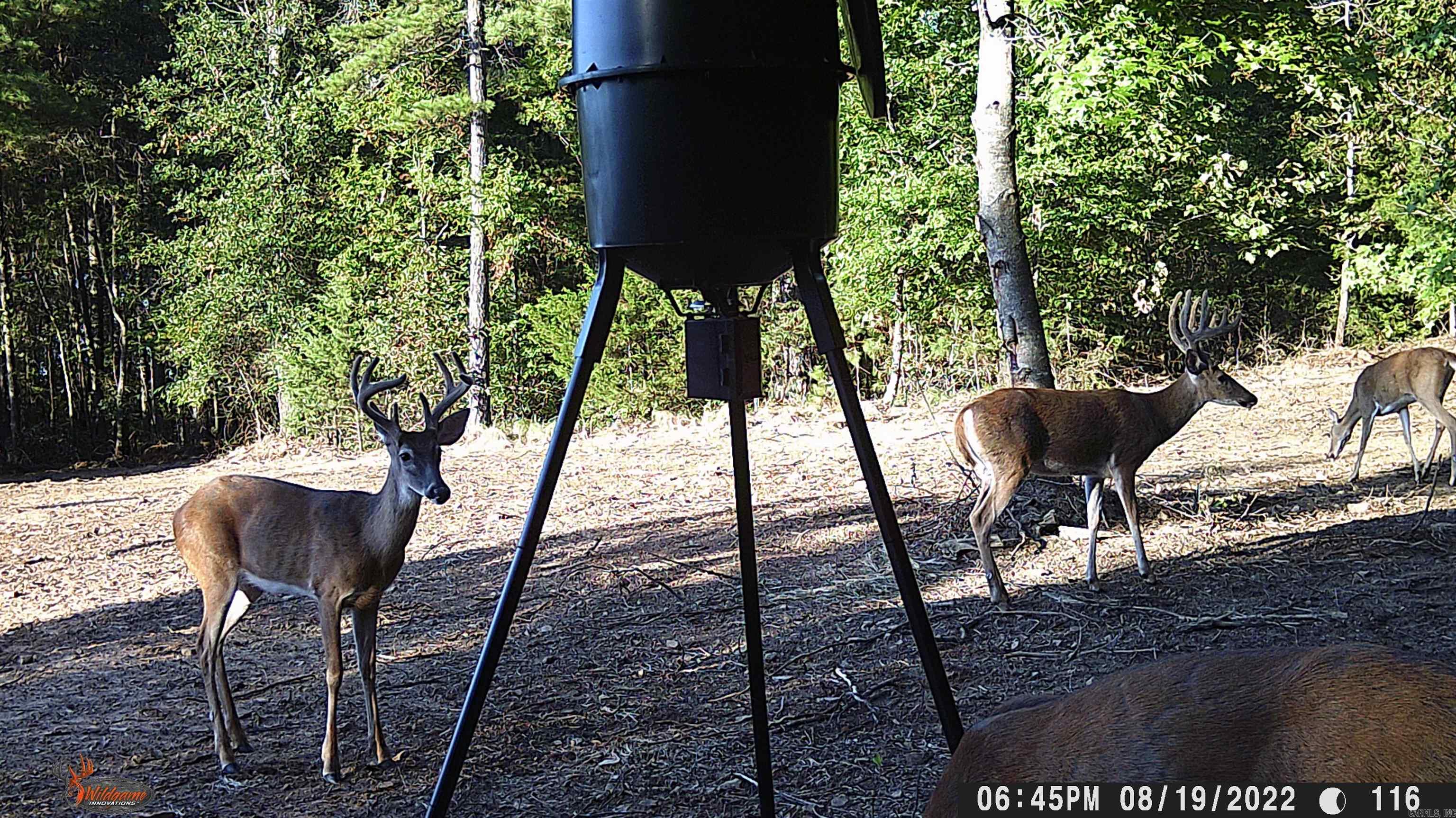 00 Jason Lane Property Photo 37
