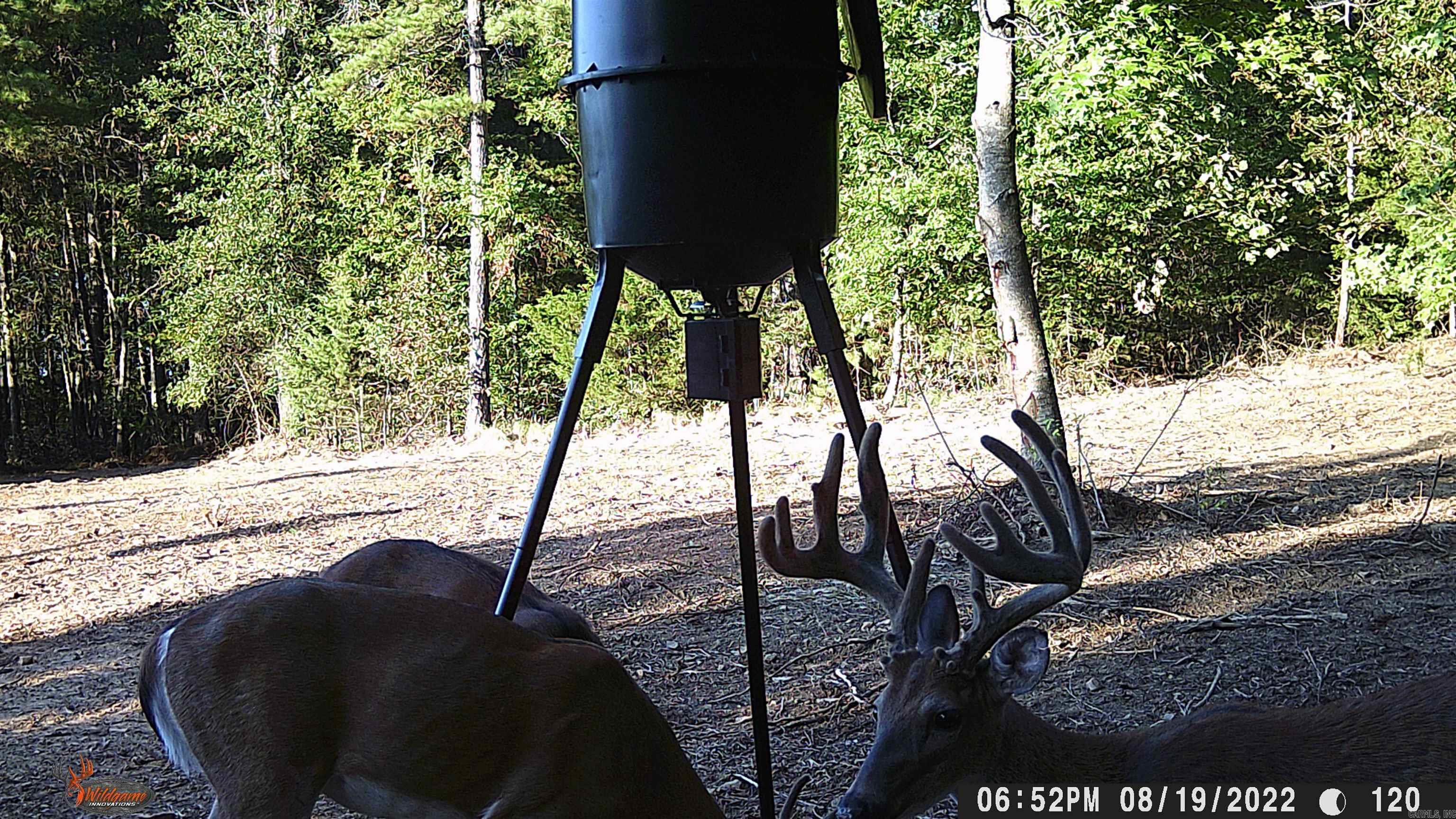 00 Jason Lane Property Photo 39