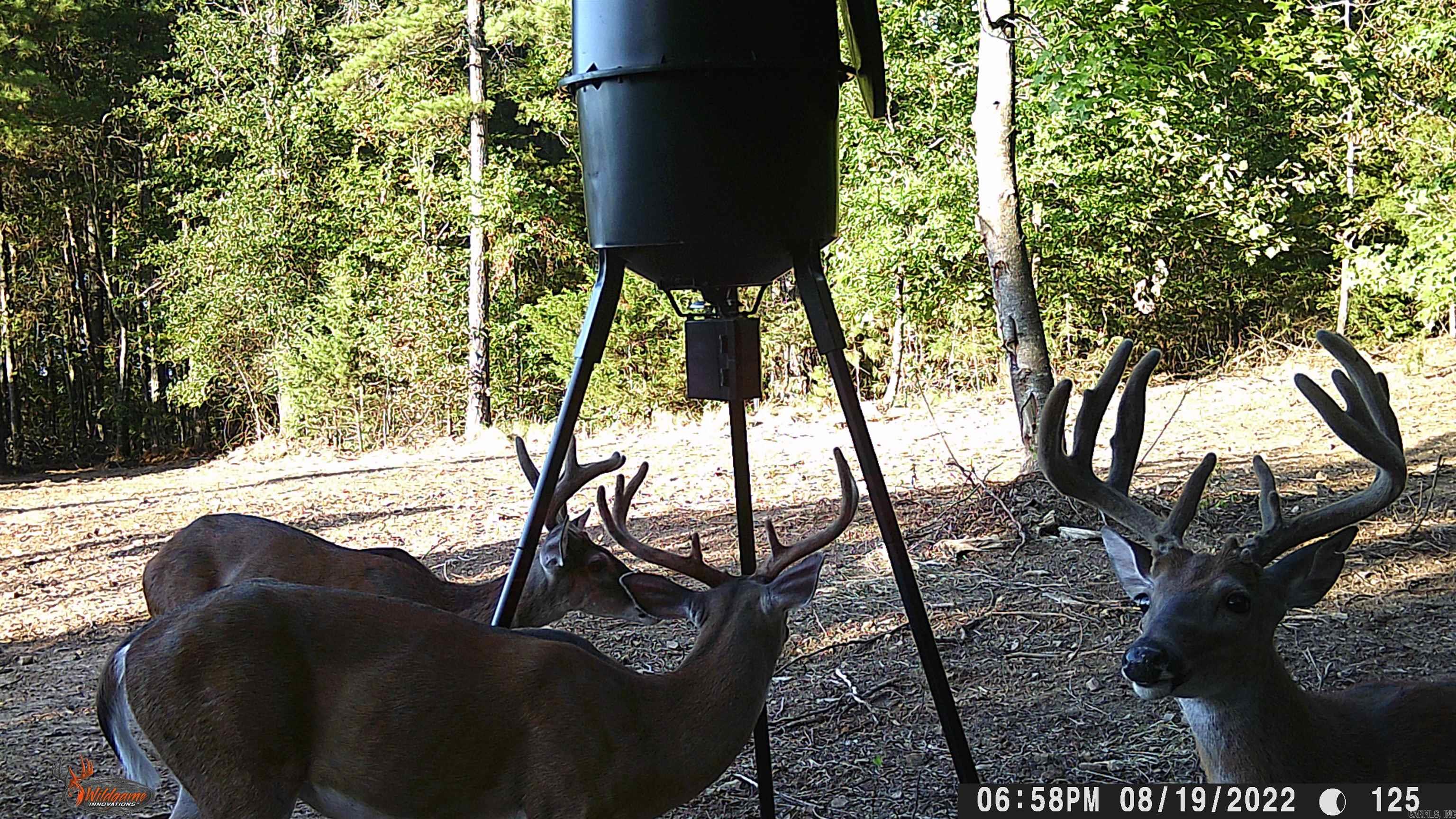 00 Jason Lane Property Photo 40