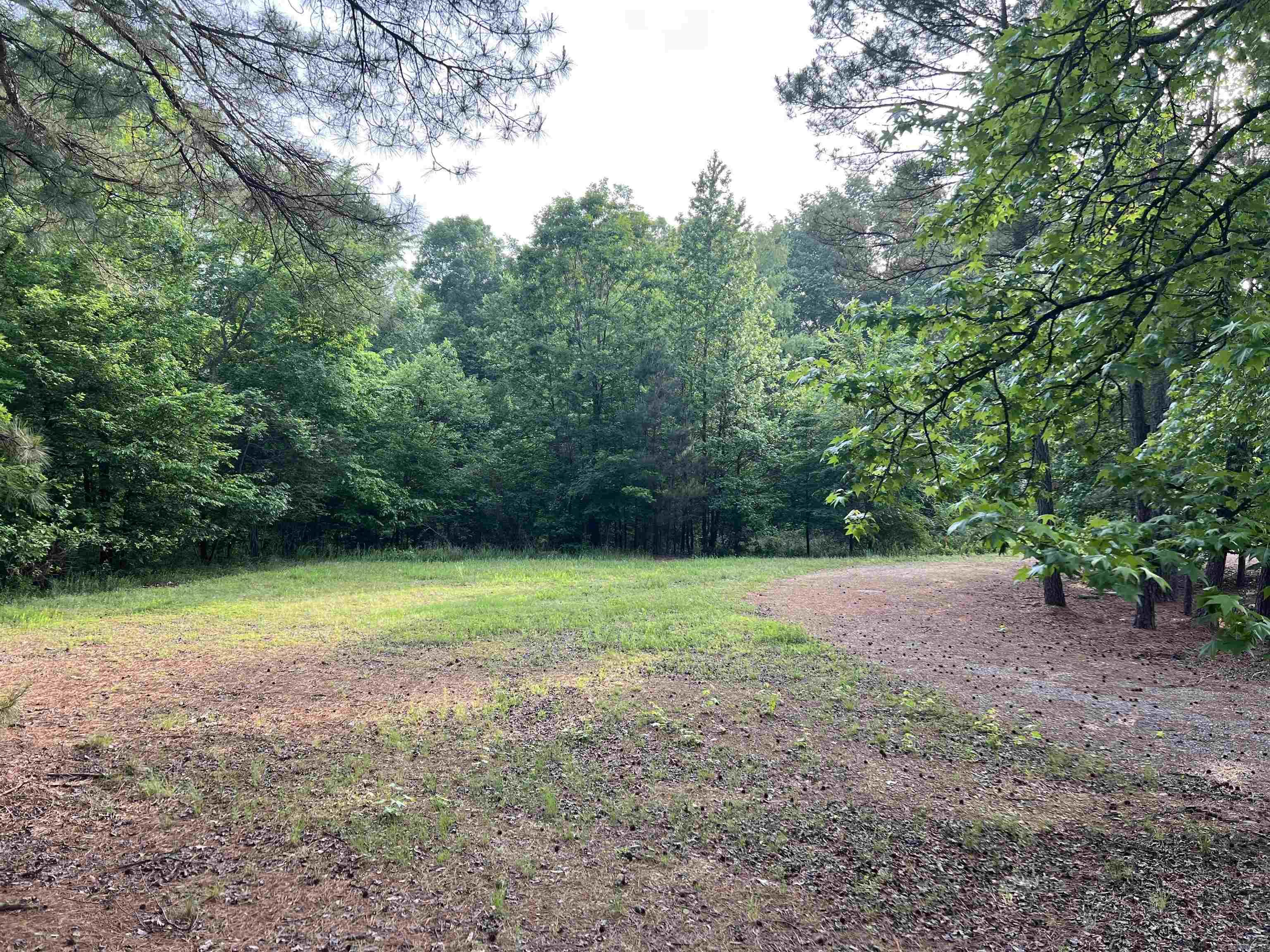 Blue Moon Ter Property Photo 1