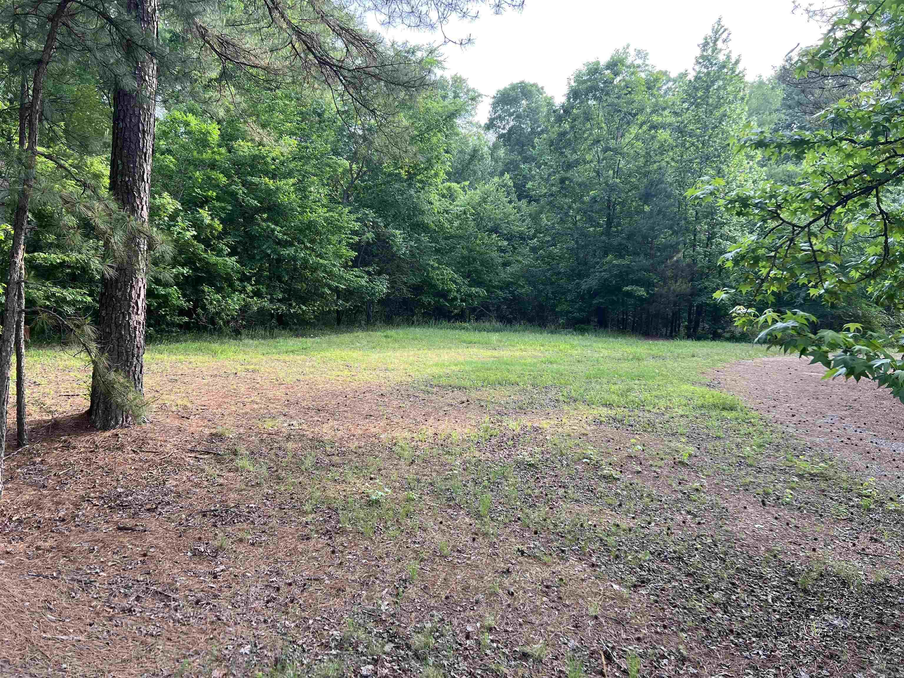Blue Moon Ter Property Photo 2