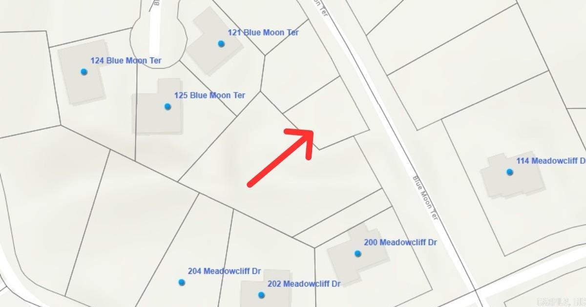 Blue Moon Ter Property Photo 3
