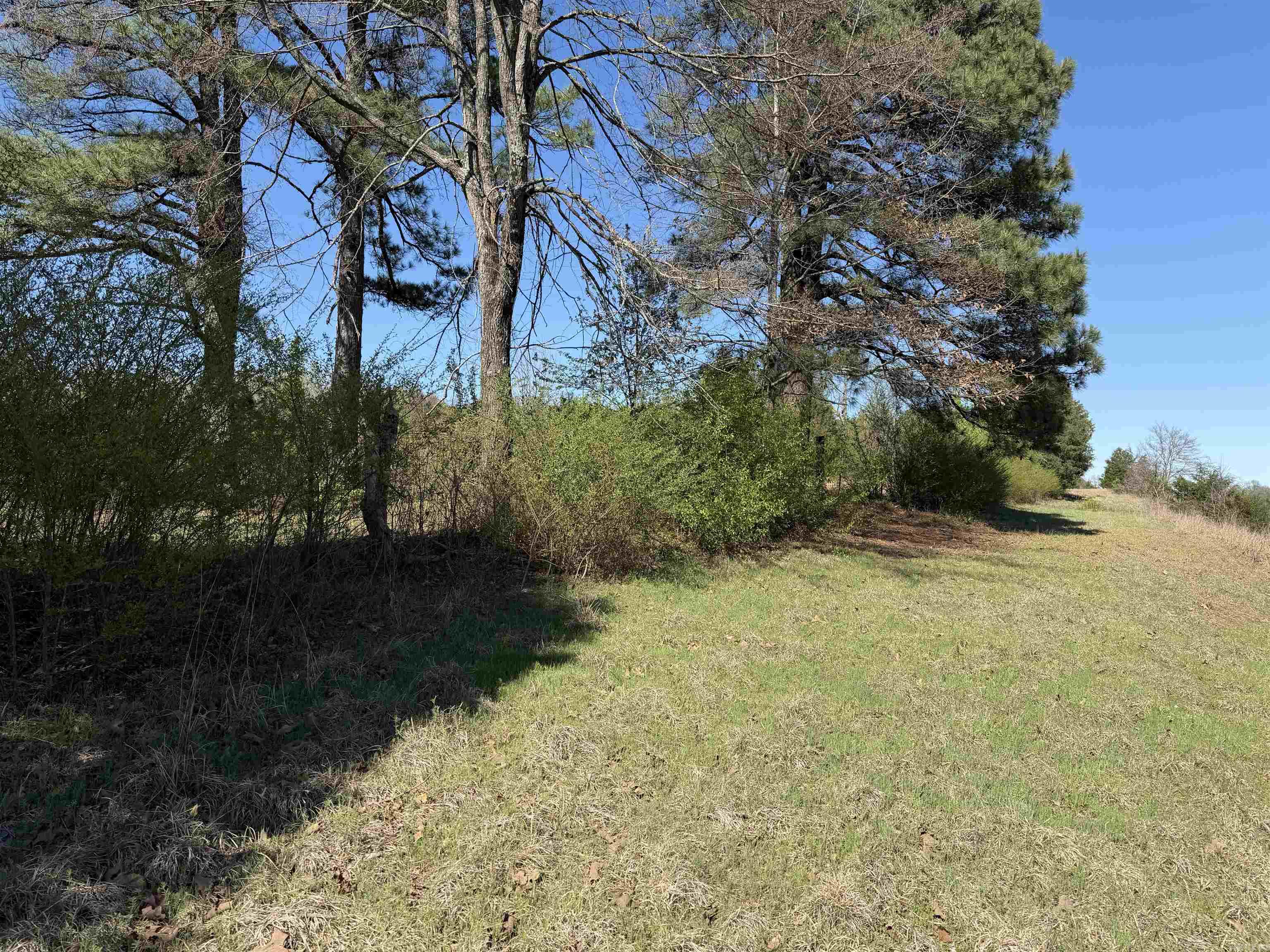 213 Primrose Lane Property Photo 10