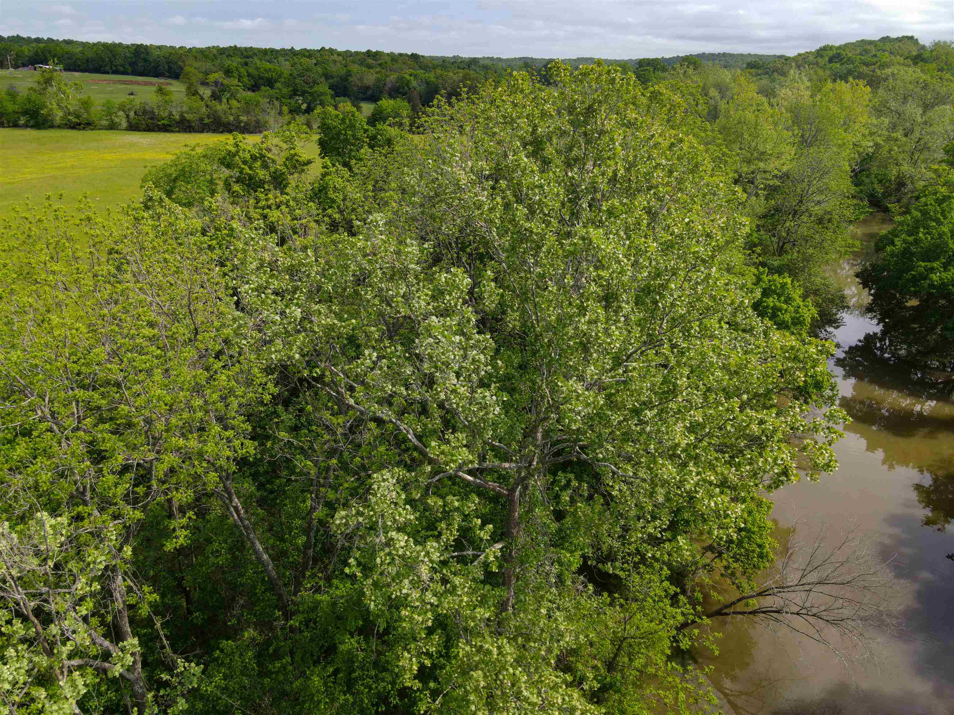 Tbd Morriston Rd Property Photo 8