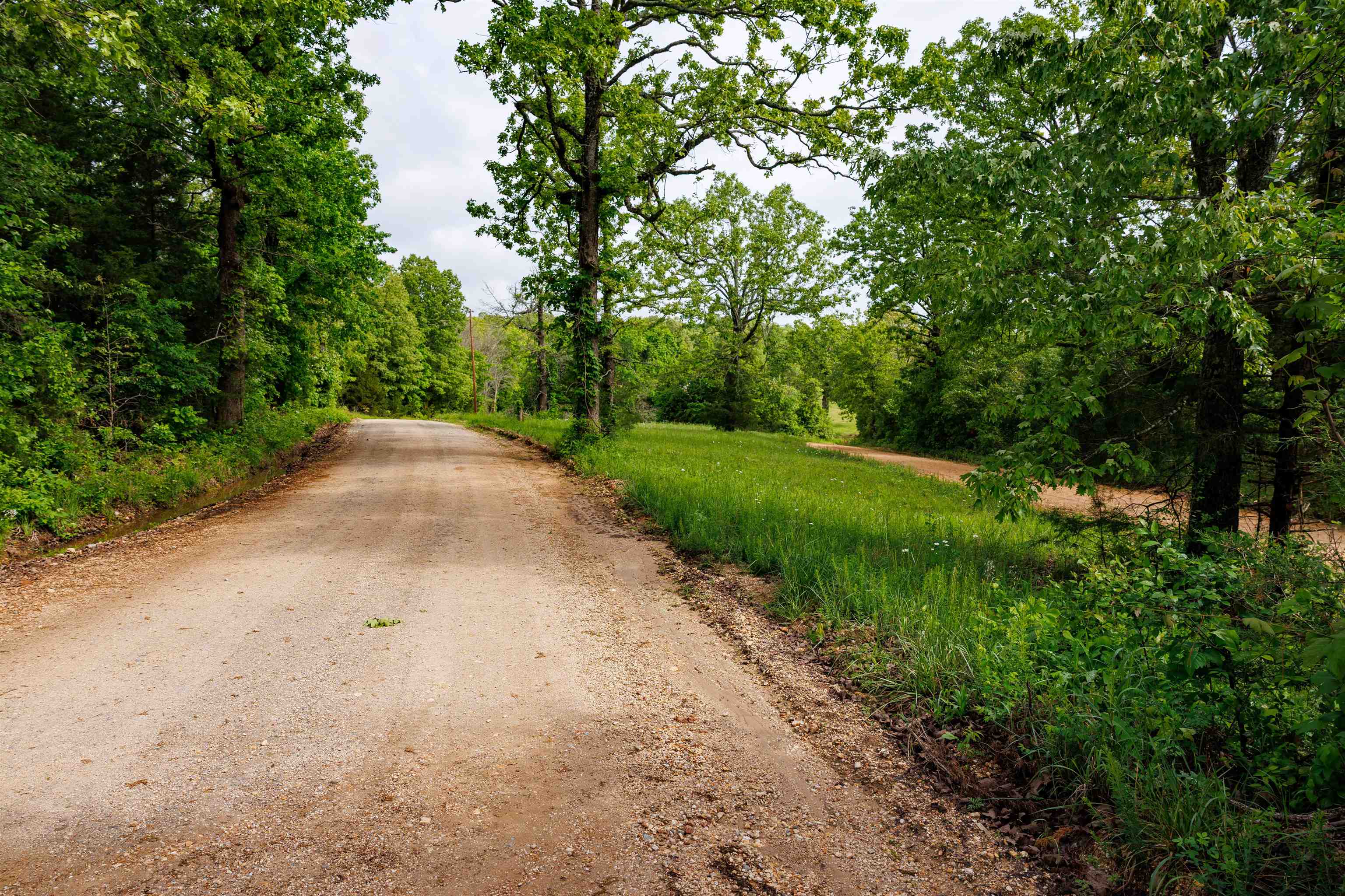 Tbd Morriston Rd Property Photo 17