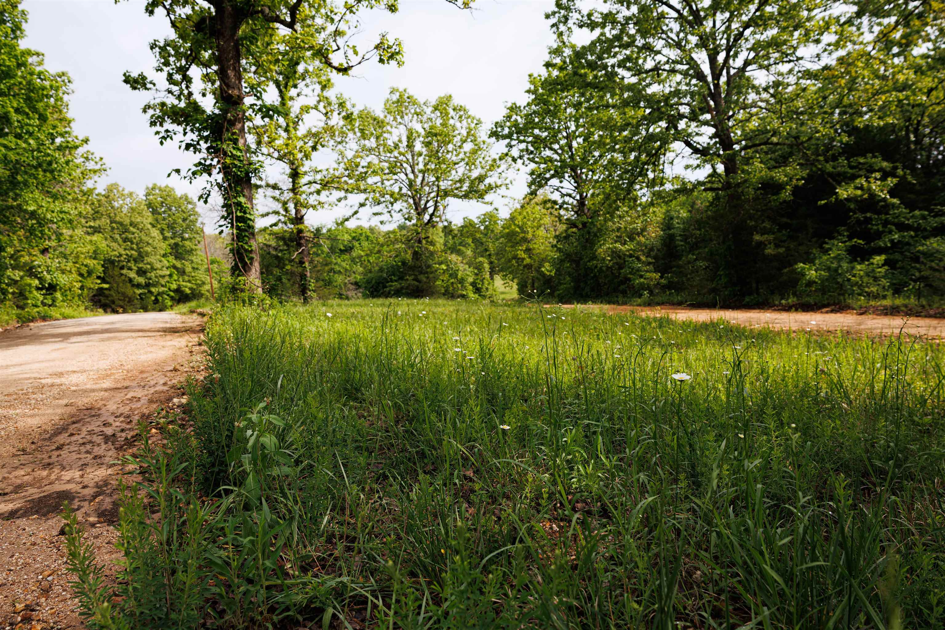 Tbd Morriston Rd Property Photo 19