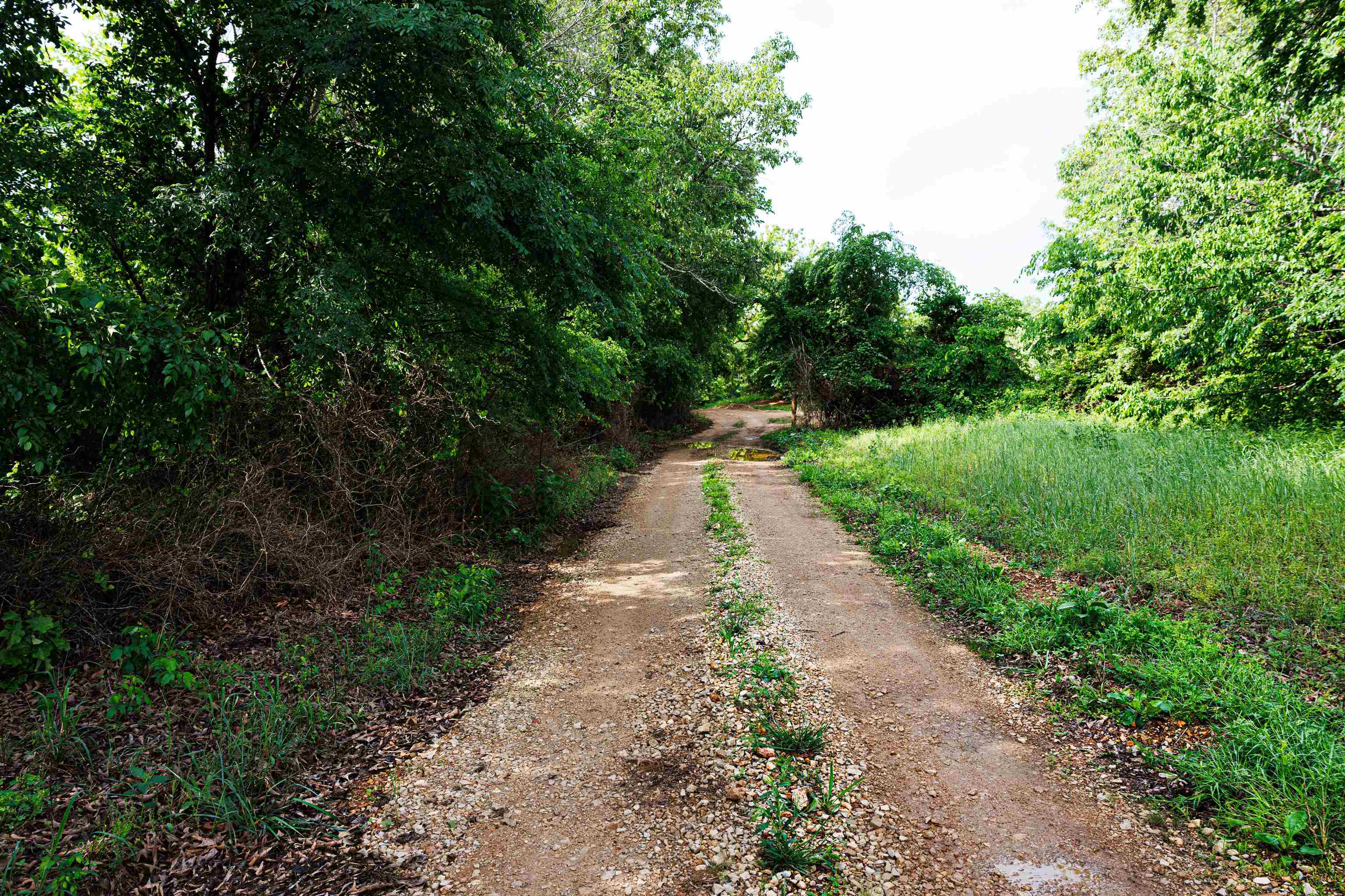 Tbd Morriston Rd Property Photo 20