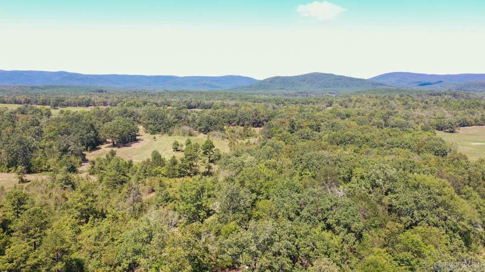 684 Old Waters Highway Property Photo 14