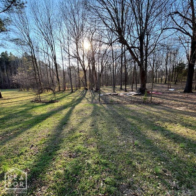 5 Current River Trail Property Photo 9