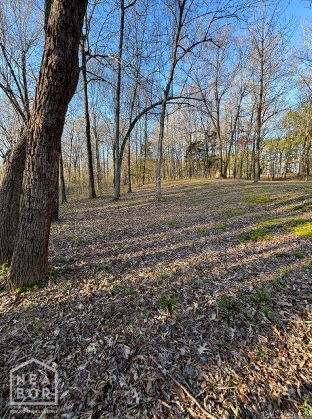 5 Current River Trail Property Photo 10