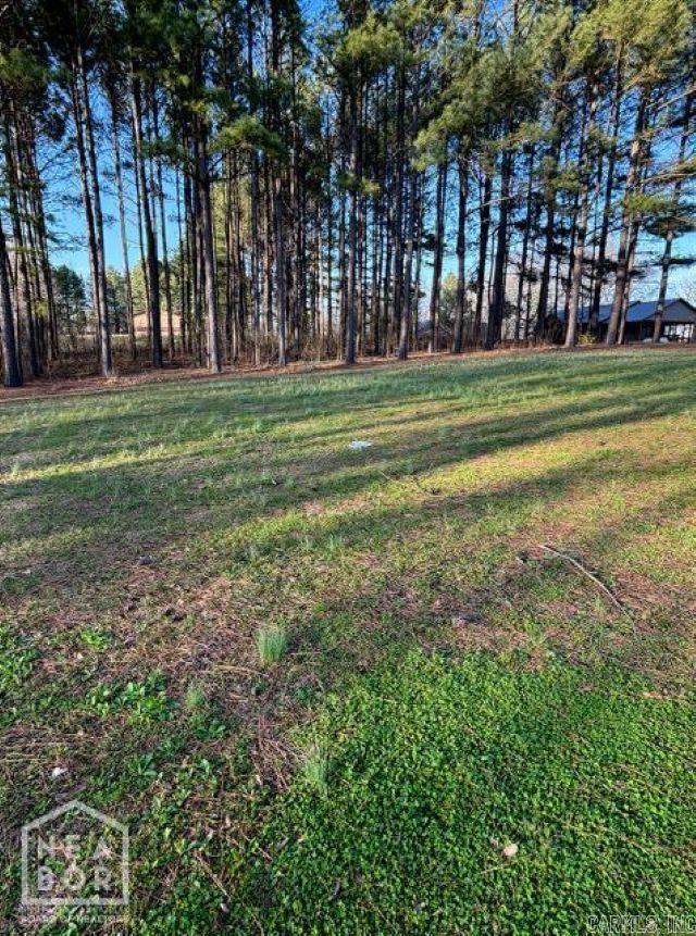 5 Current River Trail Property Photo 11