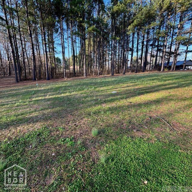 5 Current River Trail Property Photo 12