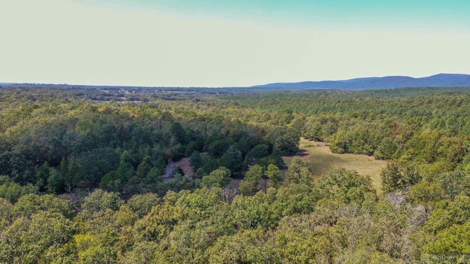 Tbd Stoney Point Property Photo 13