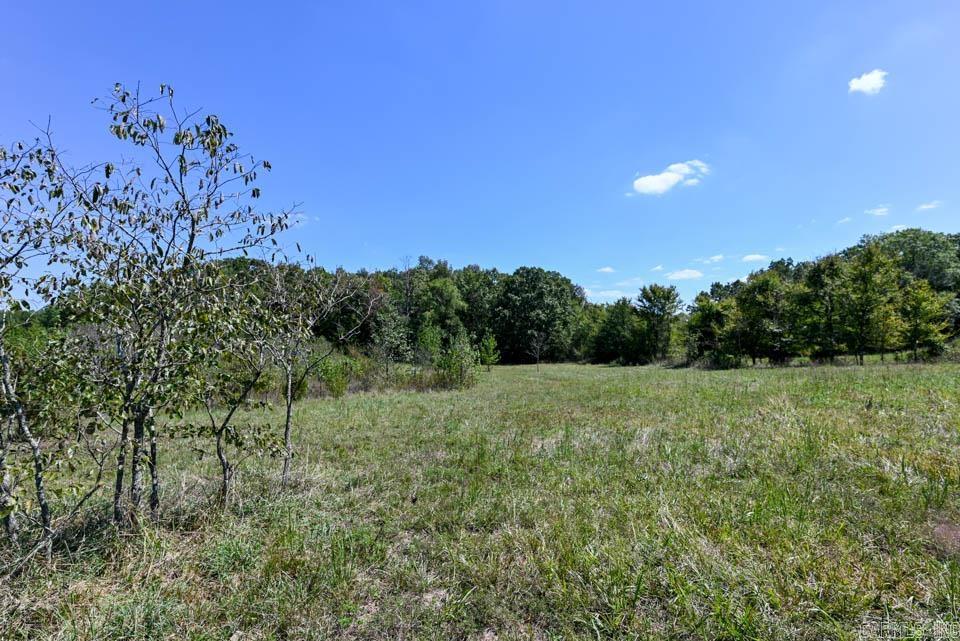Tbd Stoney Point Property Photo 15