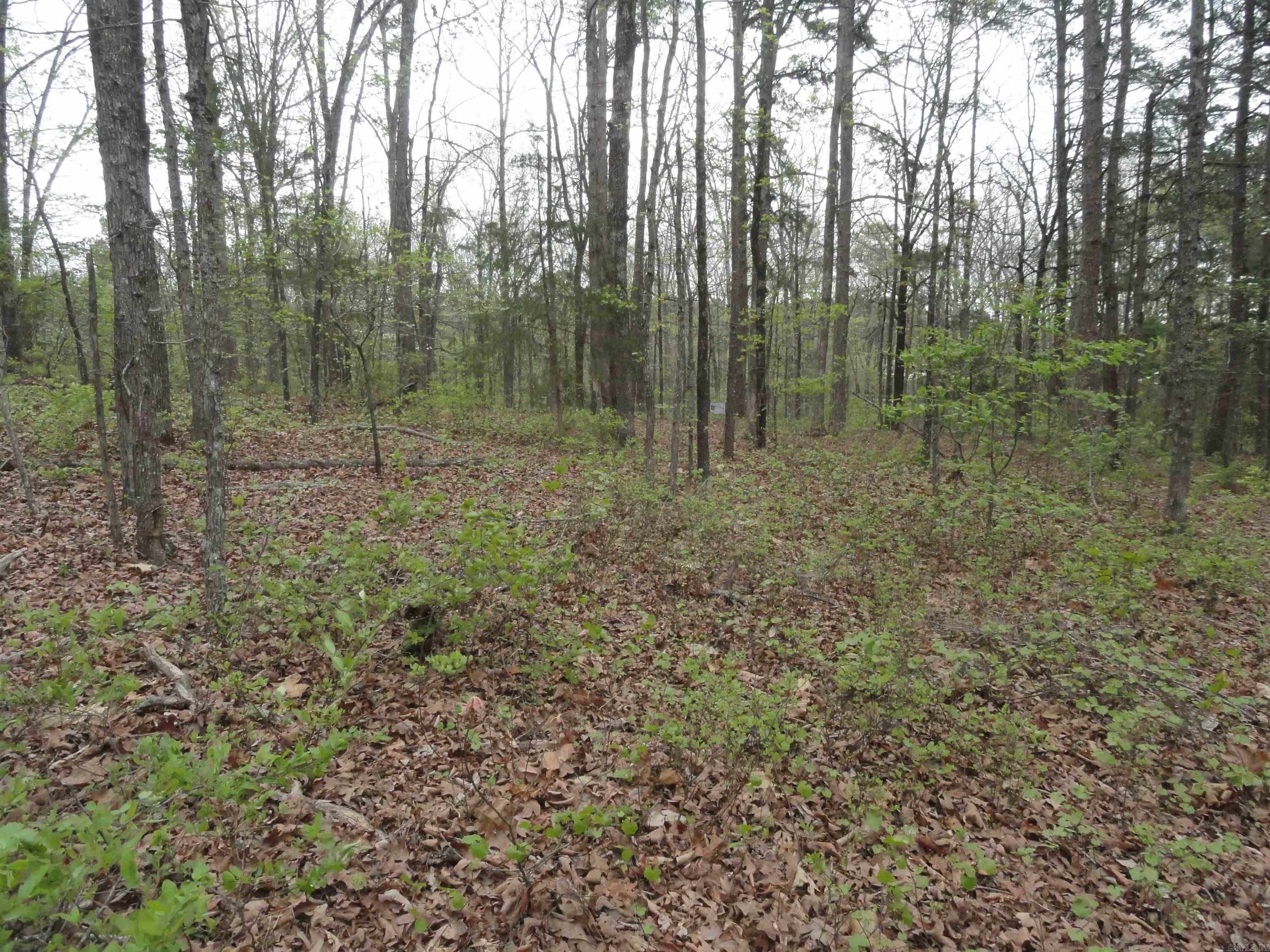 0000 Long Branch Lane Property Photo 14