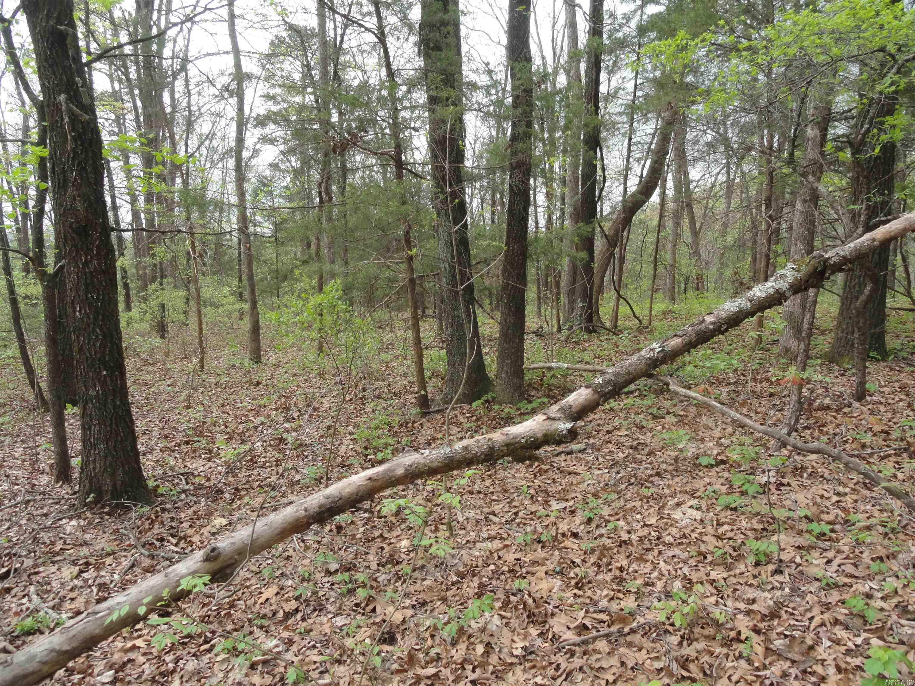 0000 Long Branch Lane Property Photo 27