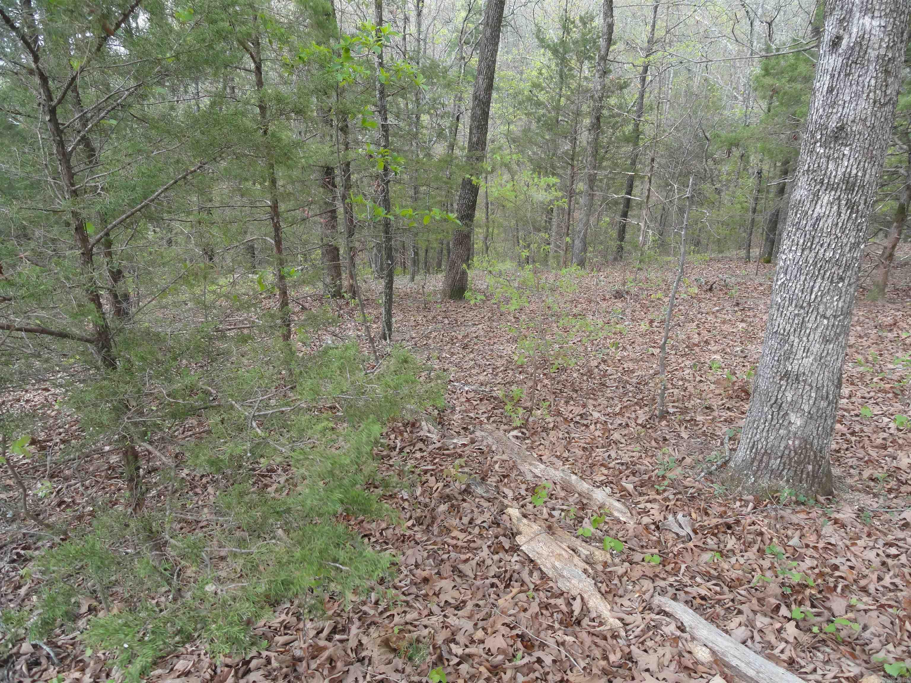 0000 Long Branch Lane Property Photo 29