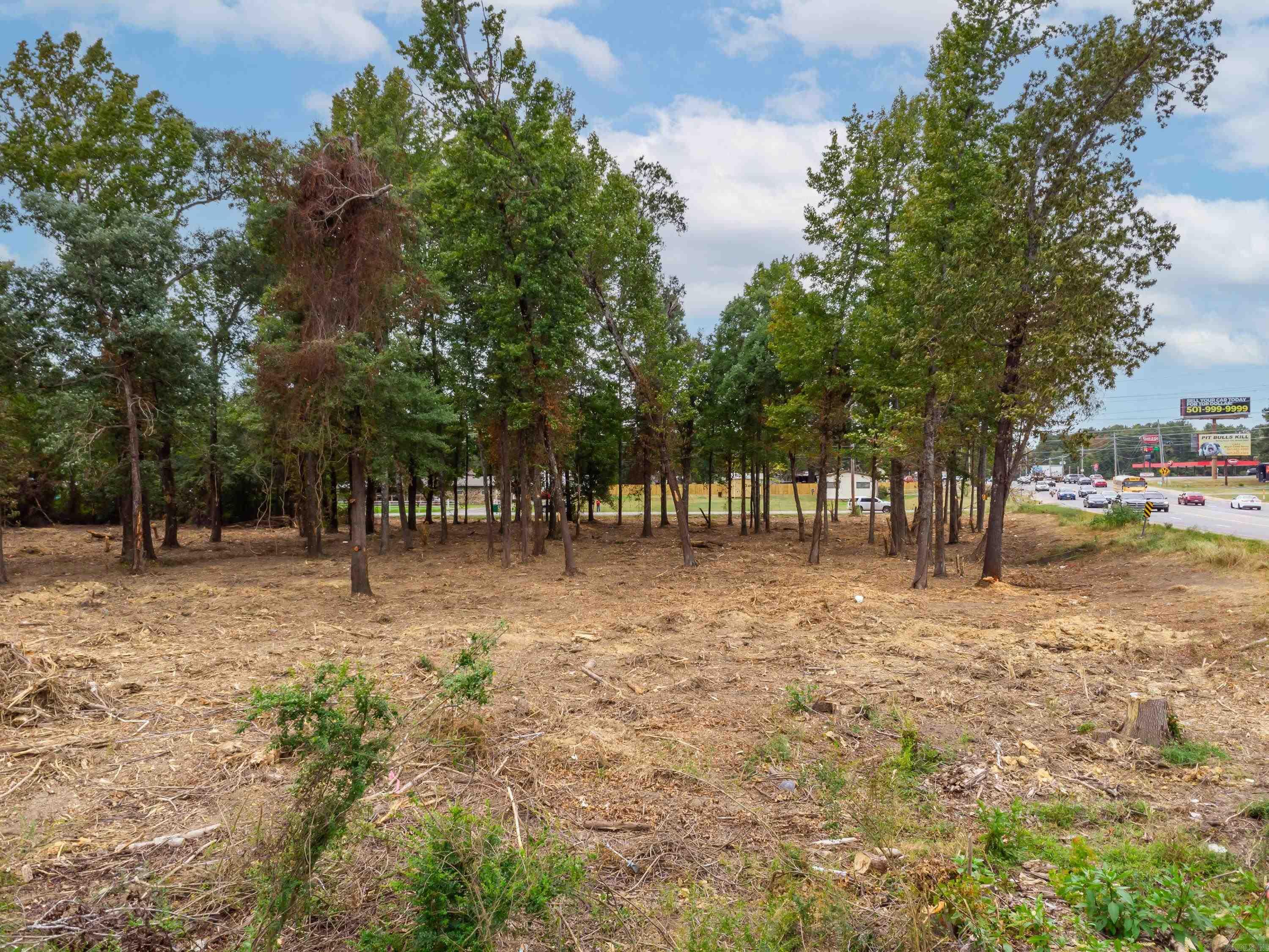 0 Hwy 365 N Property Photo 3