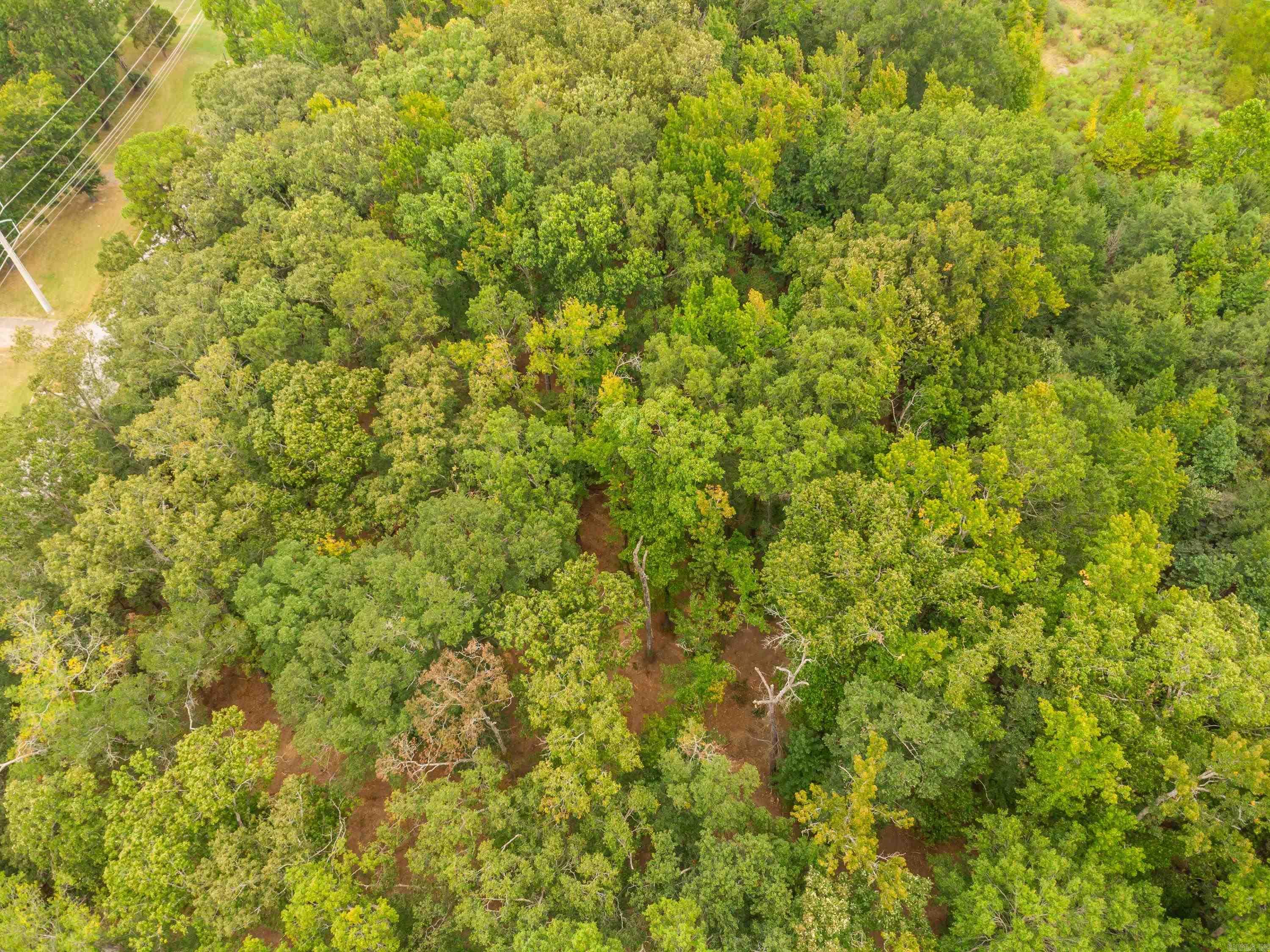 0 Hwy 365 N Property Photo 20
