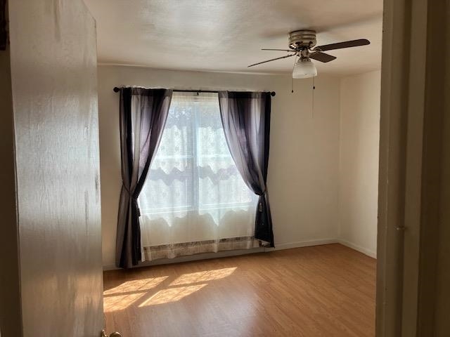 82 Topez Drive Property Photo 19