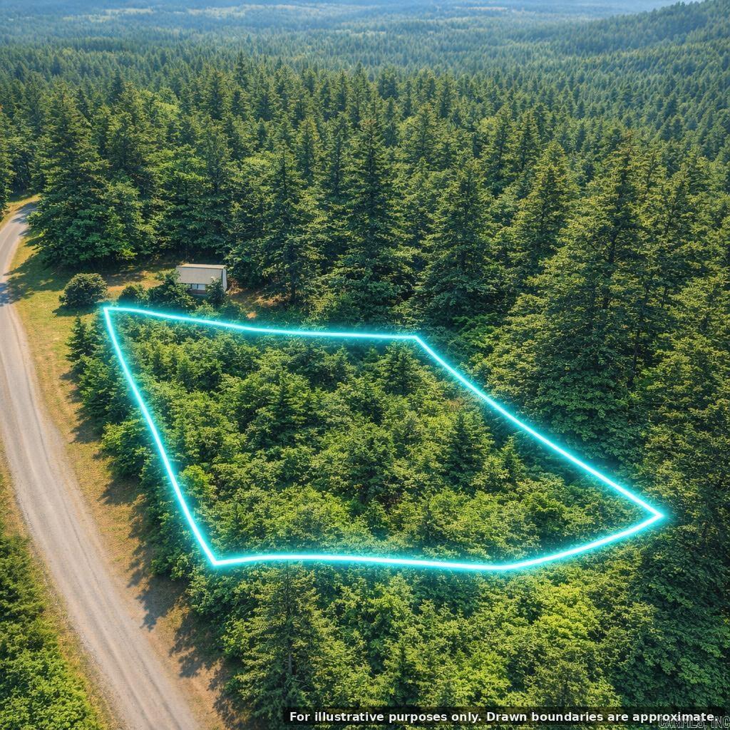 1 Acre Hwy 34 W Property Photo 3