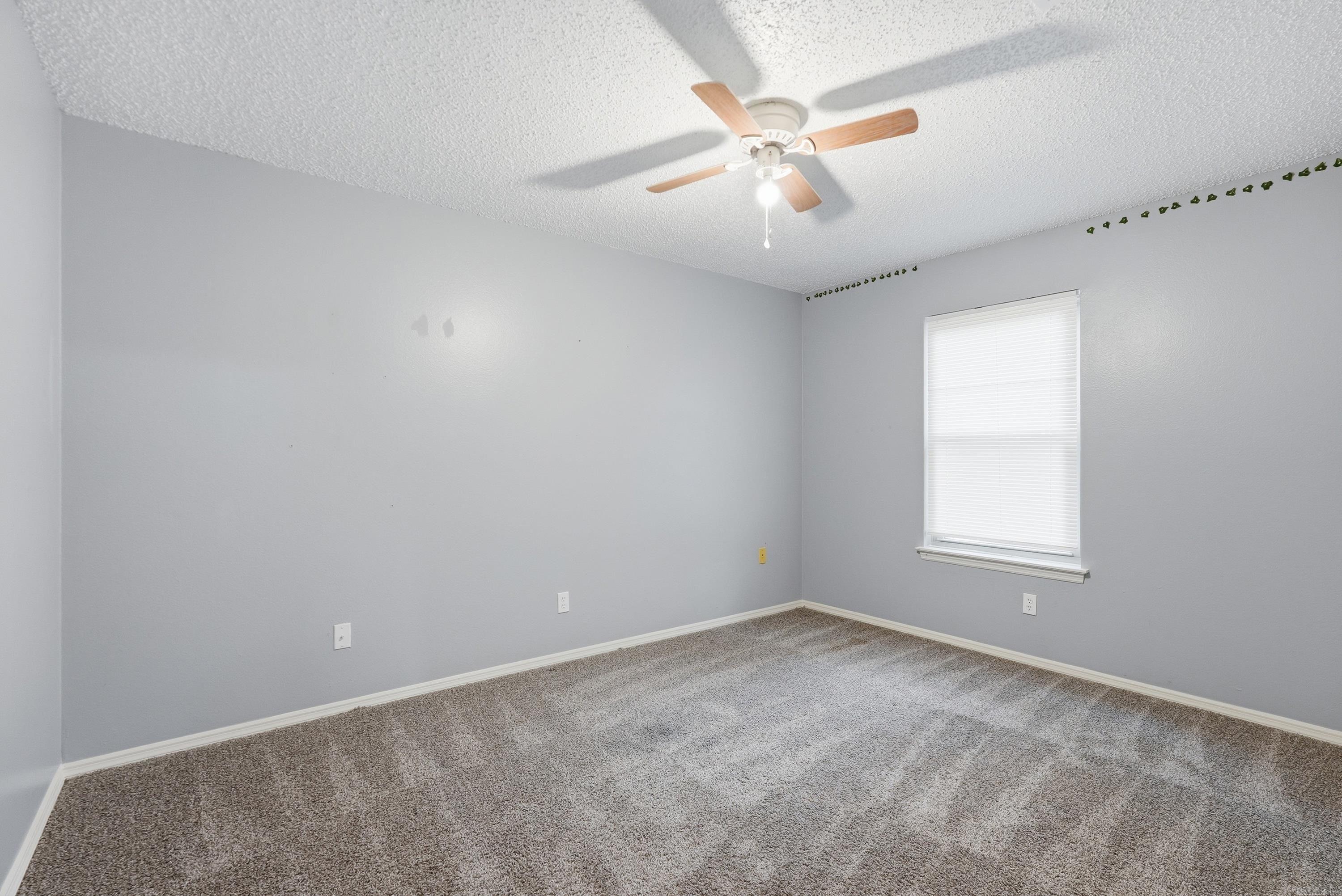 7 Evert Court Property Photo 23