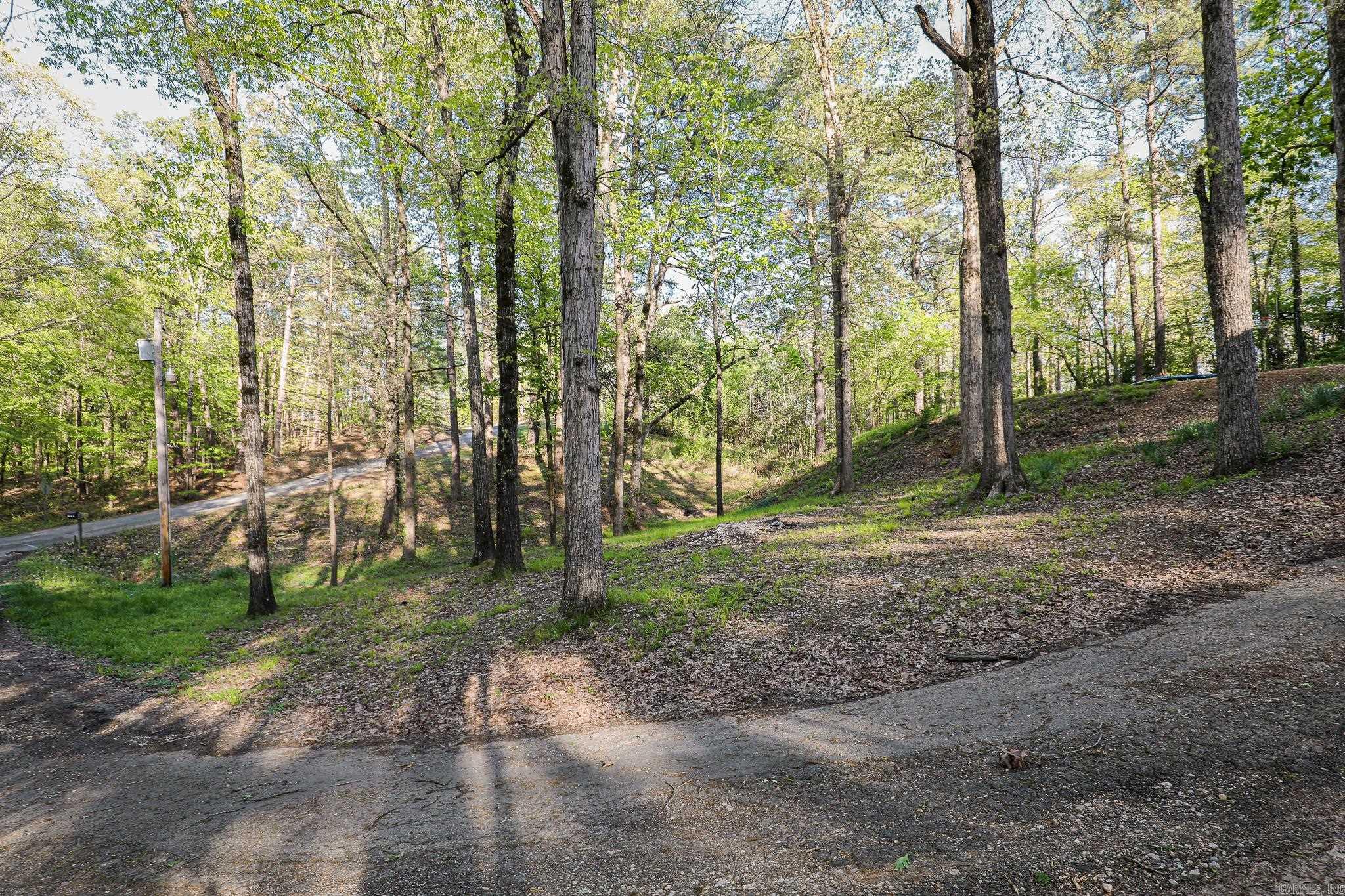 2215 Gwin Lane Property Photo 3
