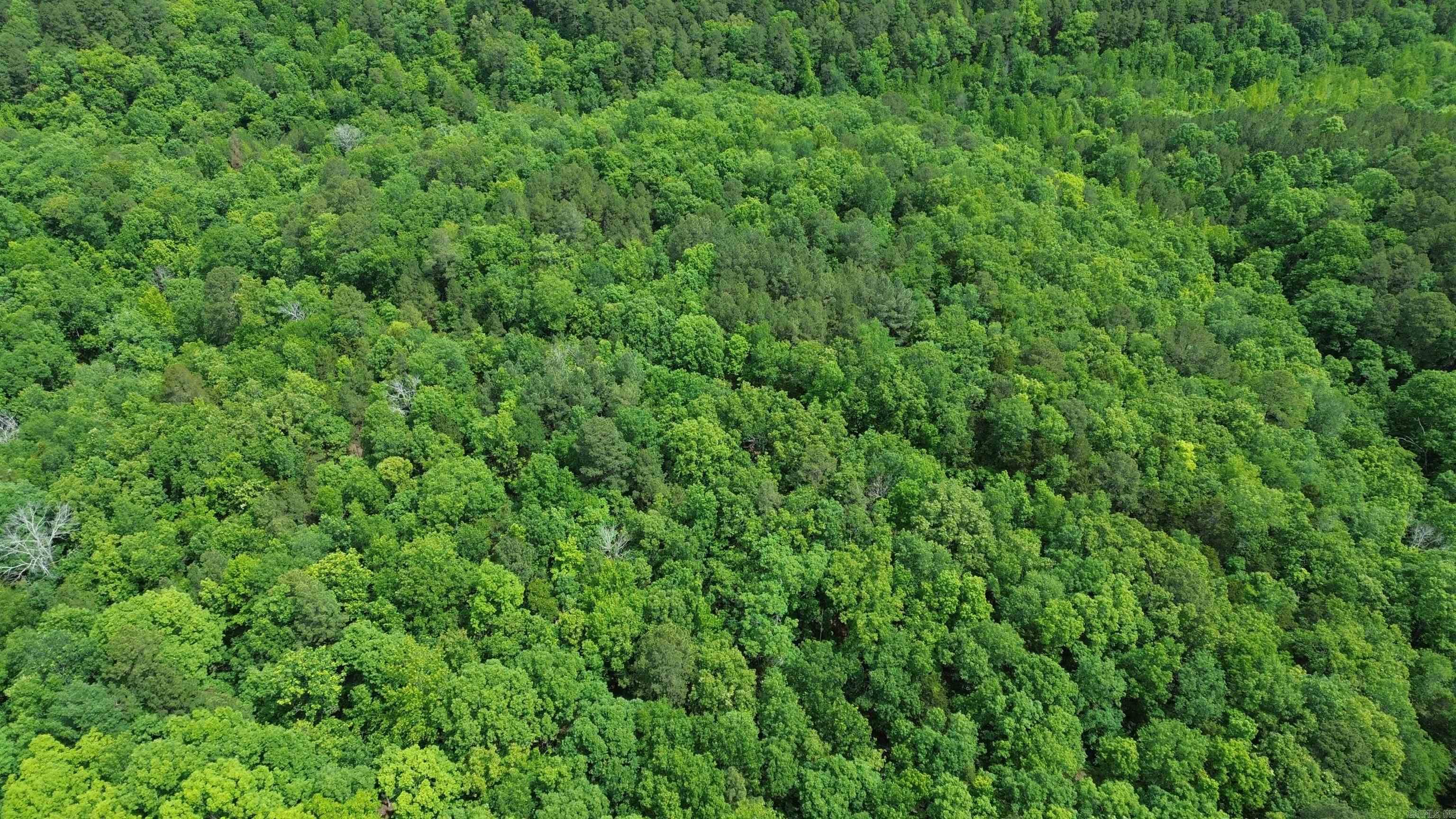 000 East Mountain Road Property Photo 3