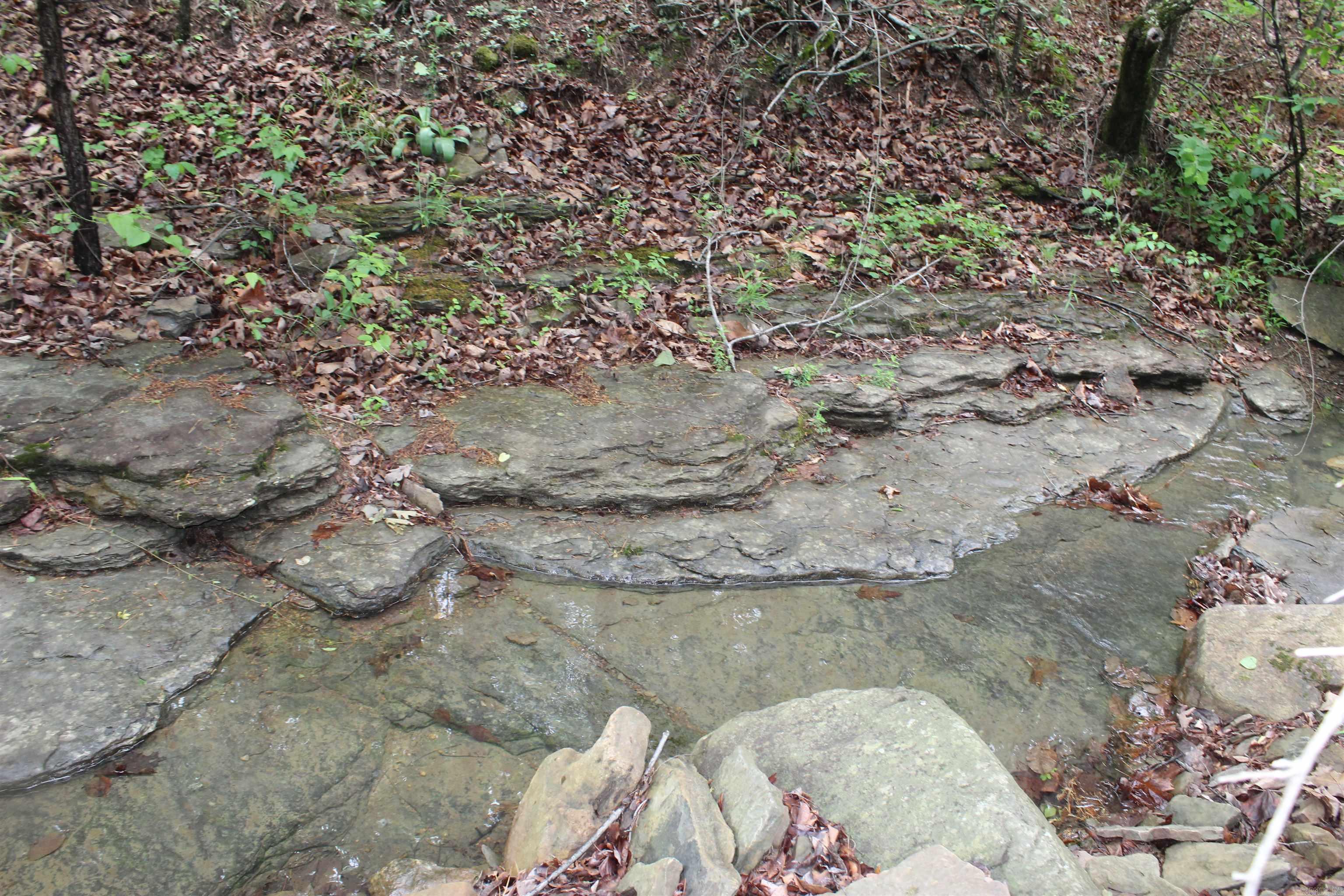 000 East Mountain Road Property Photo 5